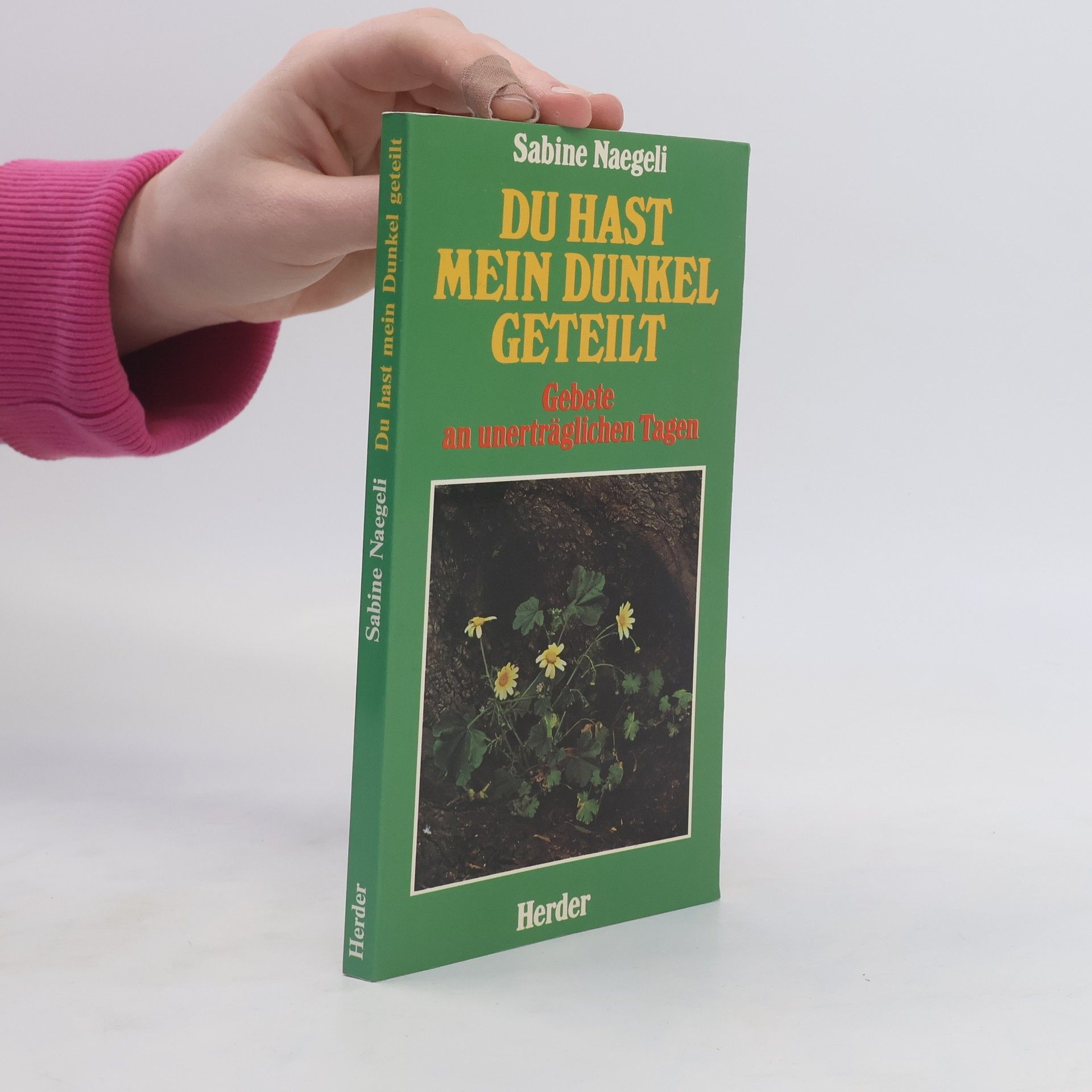 Sabine Naegeli Du hast mein Dunkel geteilt