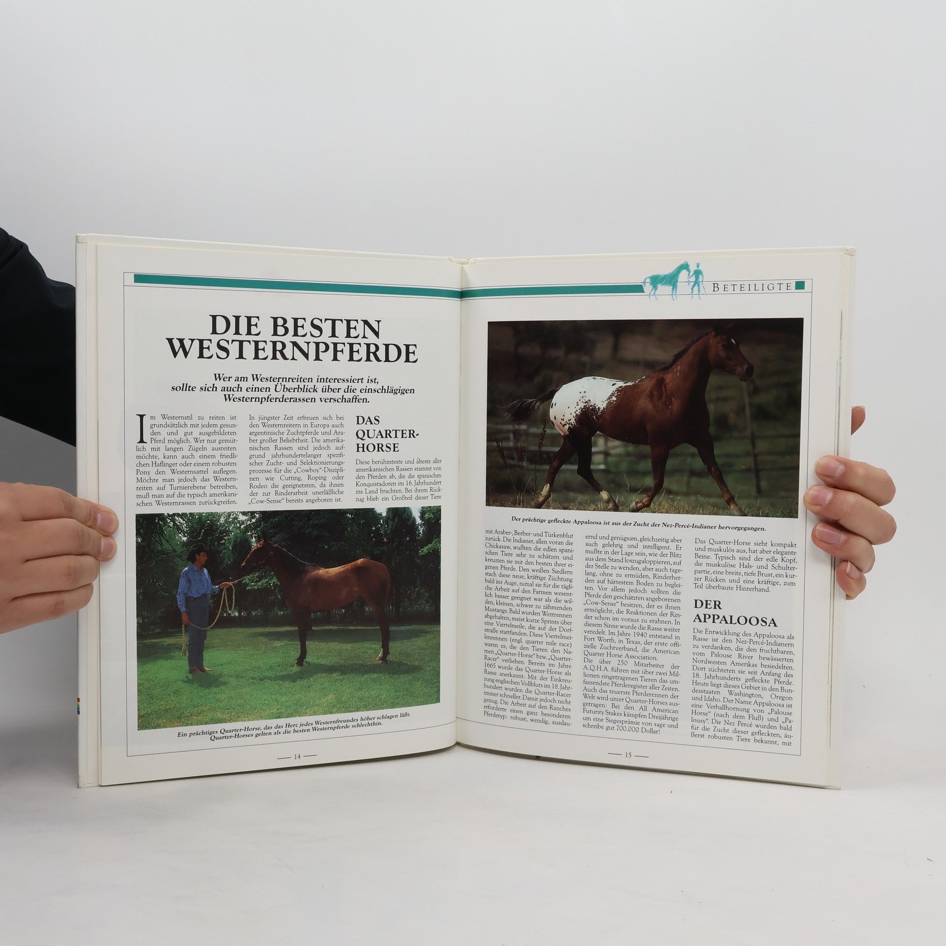 Lella Salviati Guarnerio Westernreiten
