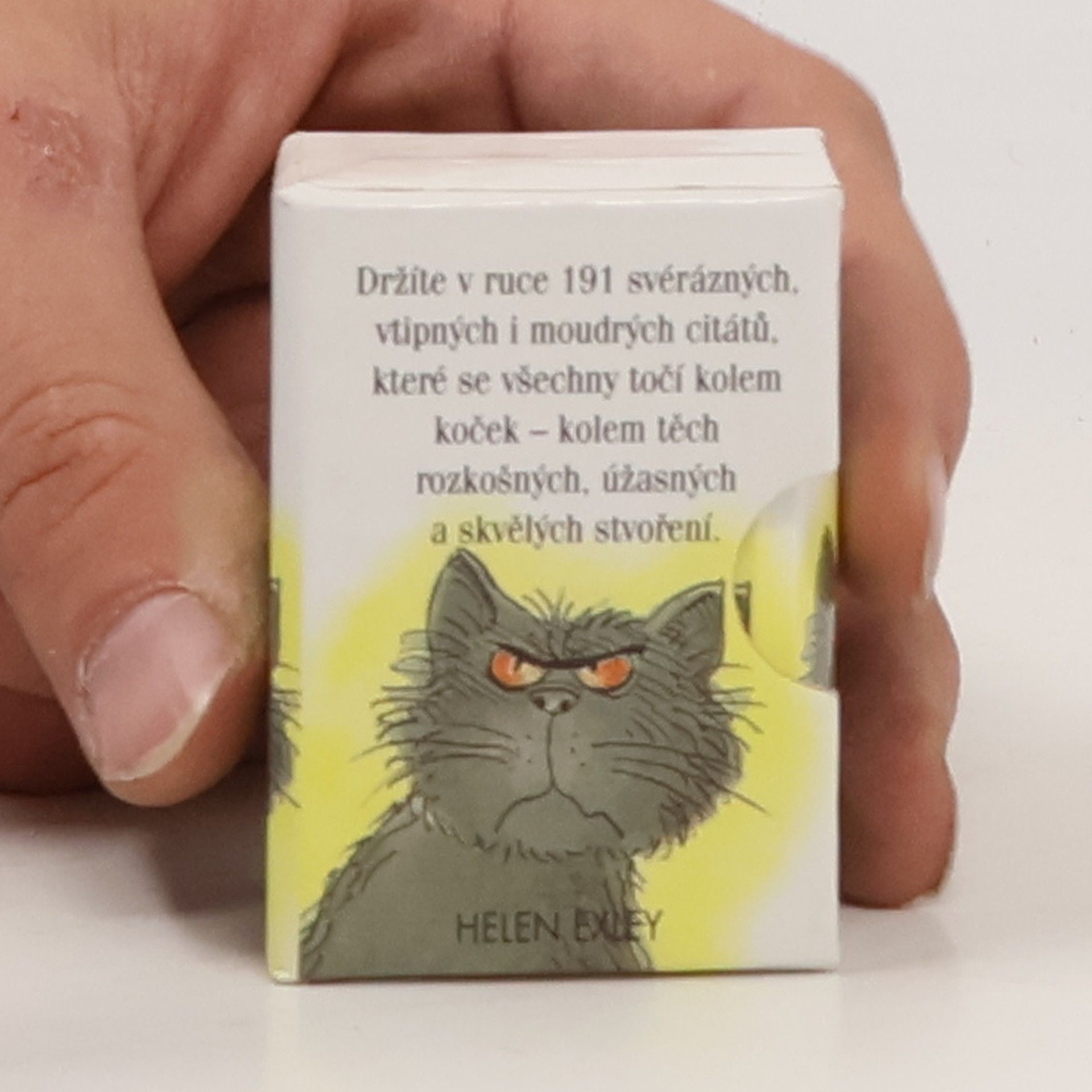 Helen Exley Kočka je tu šéf!