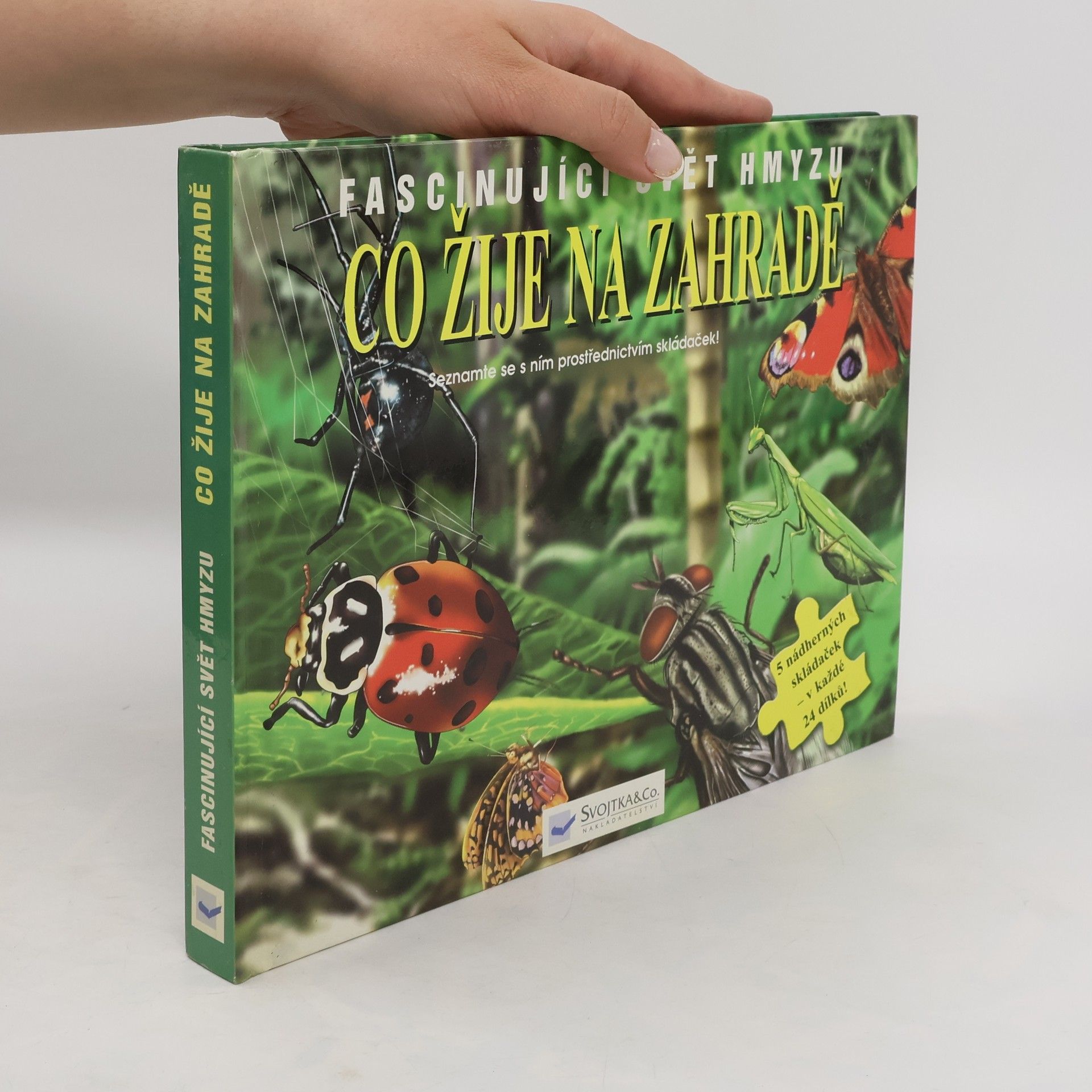 Autorenkollektiv Co žije na zahradě : fascinující svět hmyzu