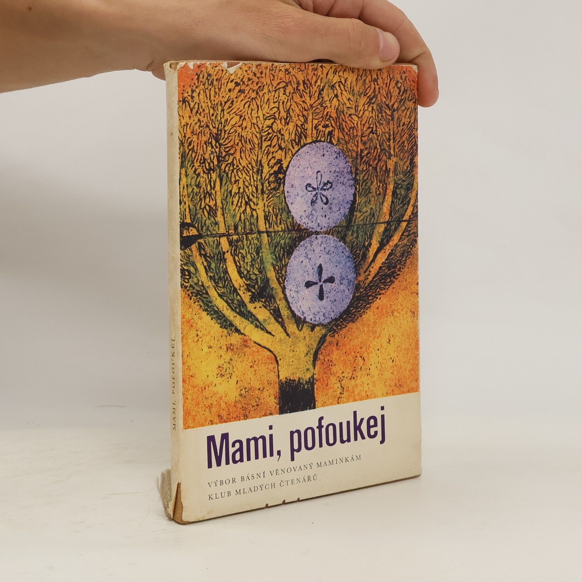 Dagmar Lhotová Mami, pofoukej