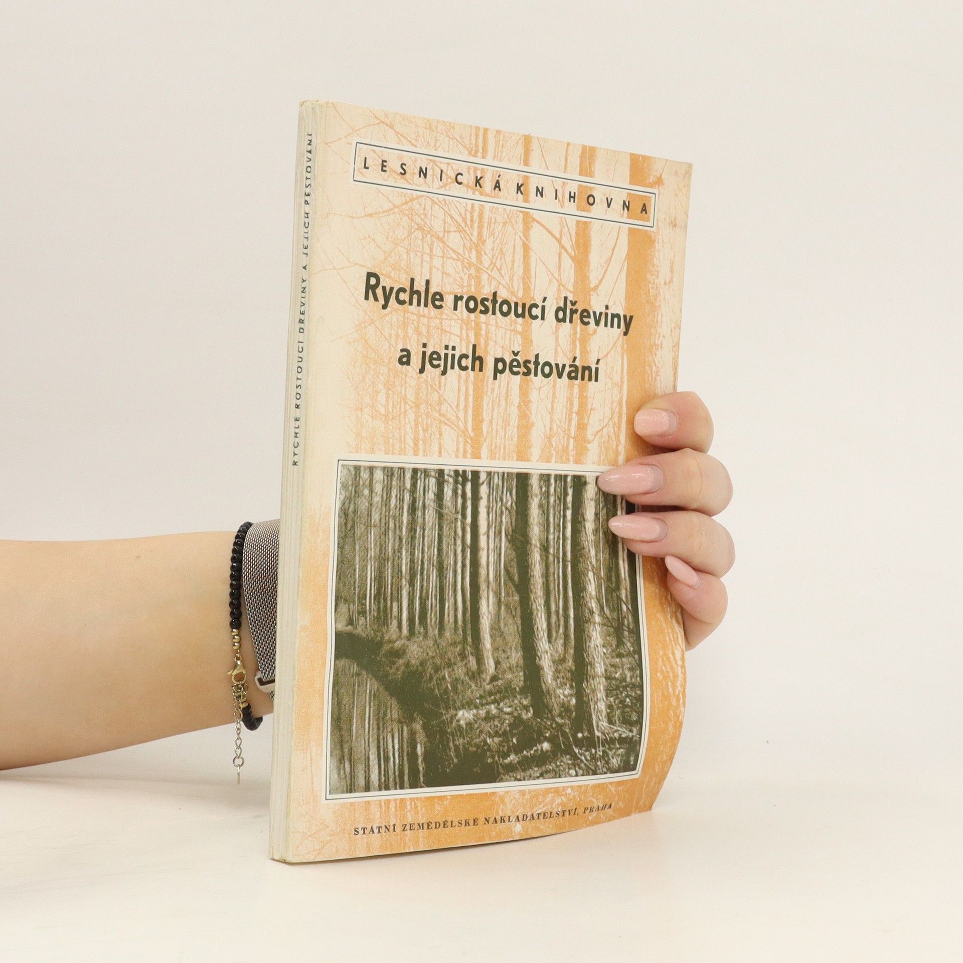 Autorenkollektiv Rychle rostoucí dřeviny a jejich pěstování