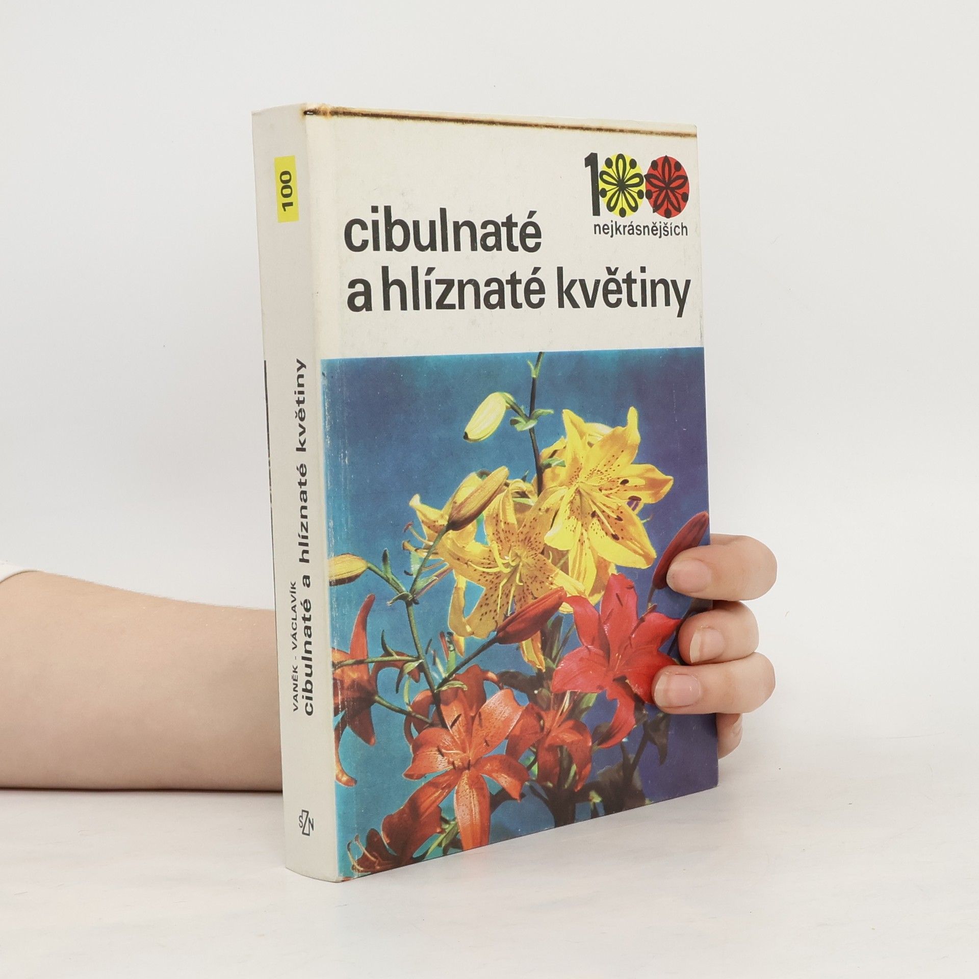 Jiří Václavík Cibulnaté a hlíznaté květiny