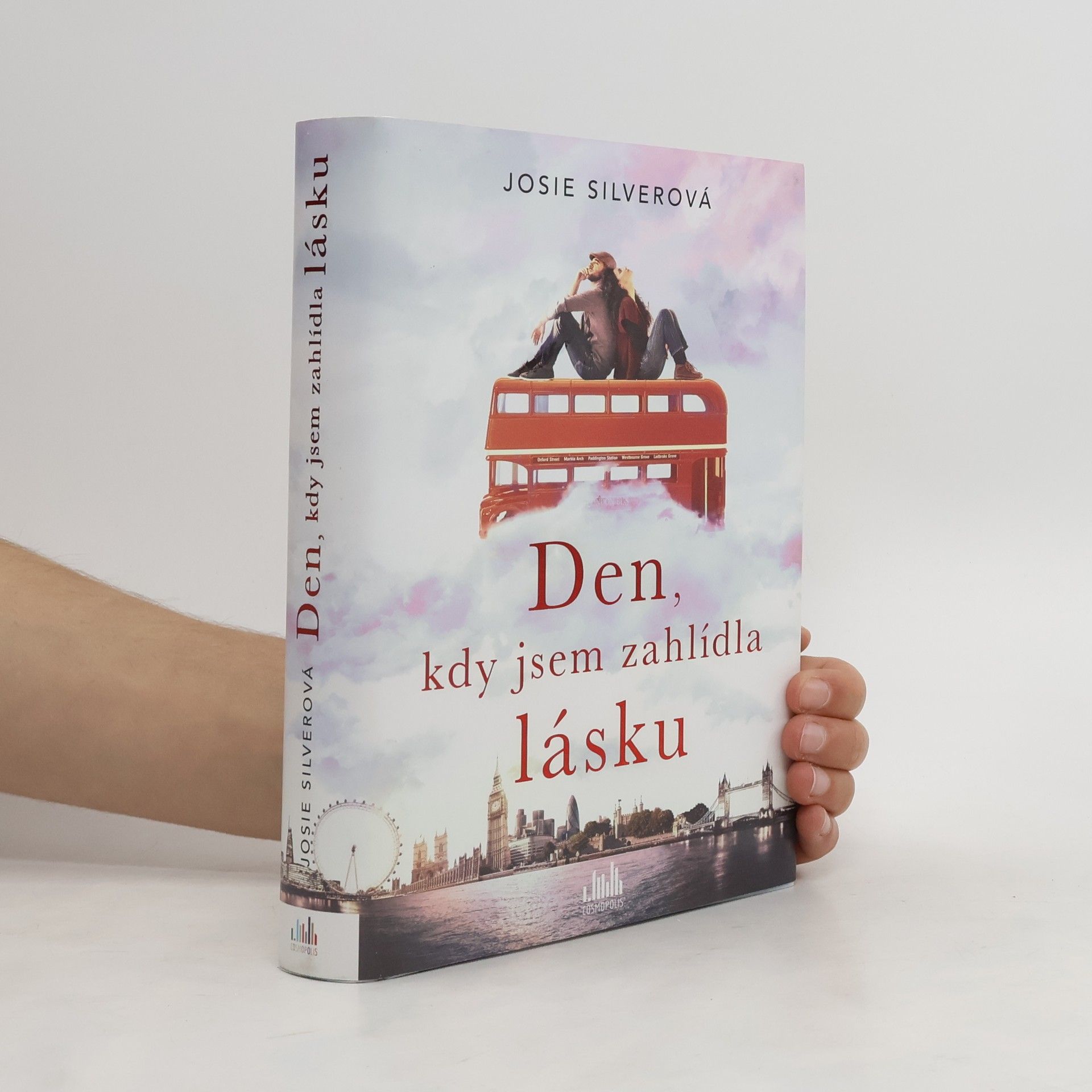 Josie Silver Den, kdy jsem zahlídla lásku