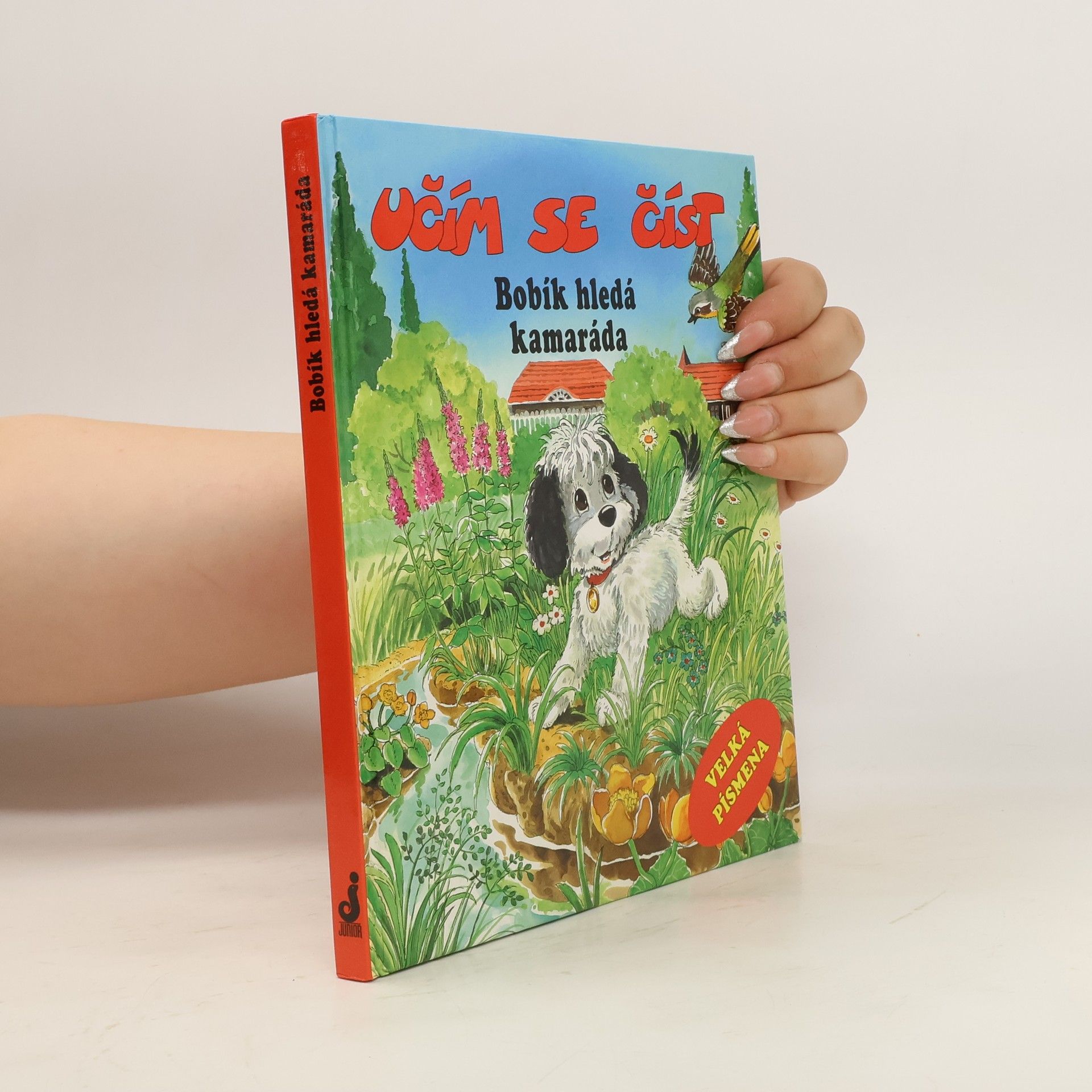 Ivo Odehnal Bobík hledá kamaráda