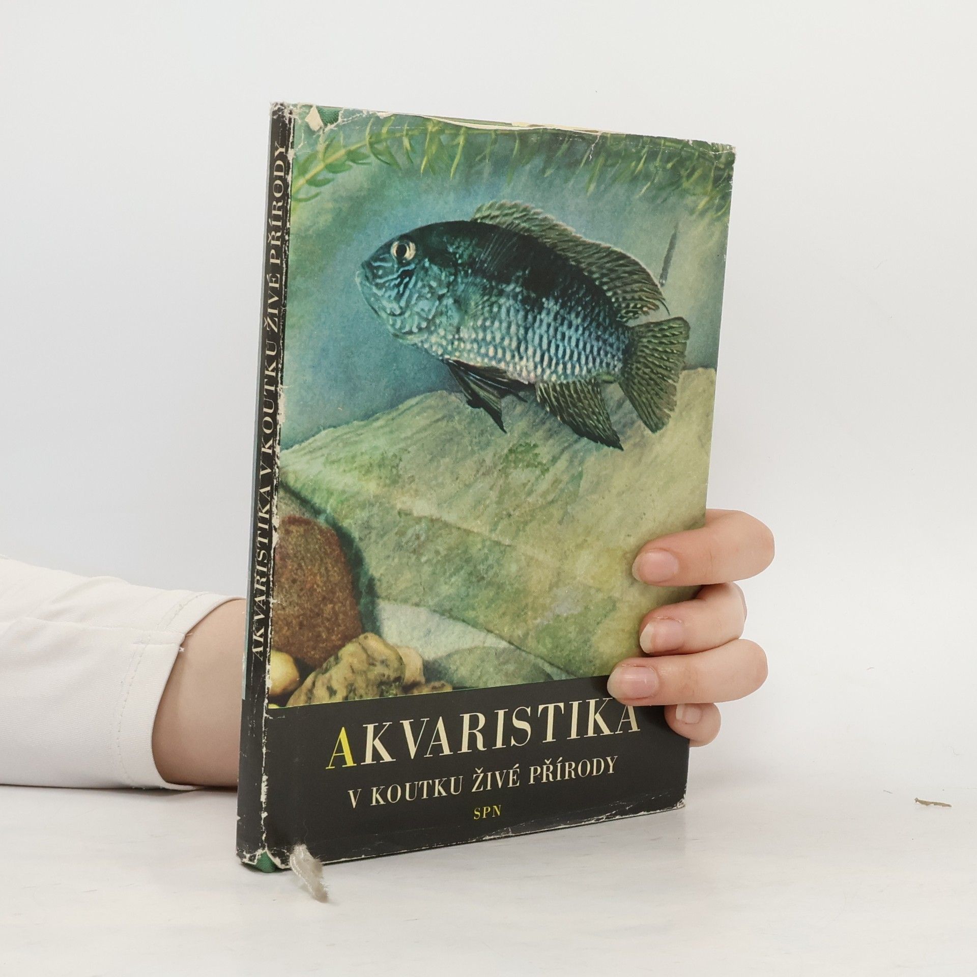 Collectif d'auteurs Akvaristika v koutku živé přírody