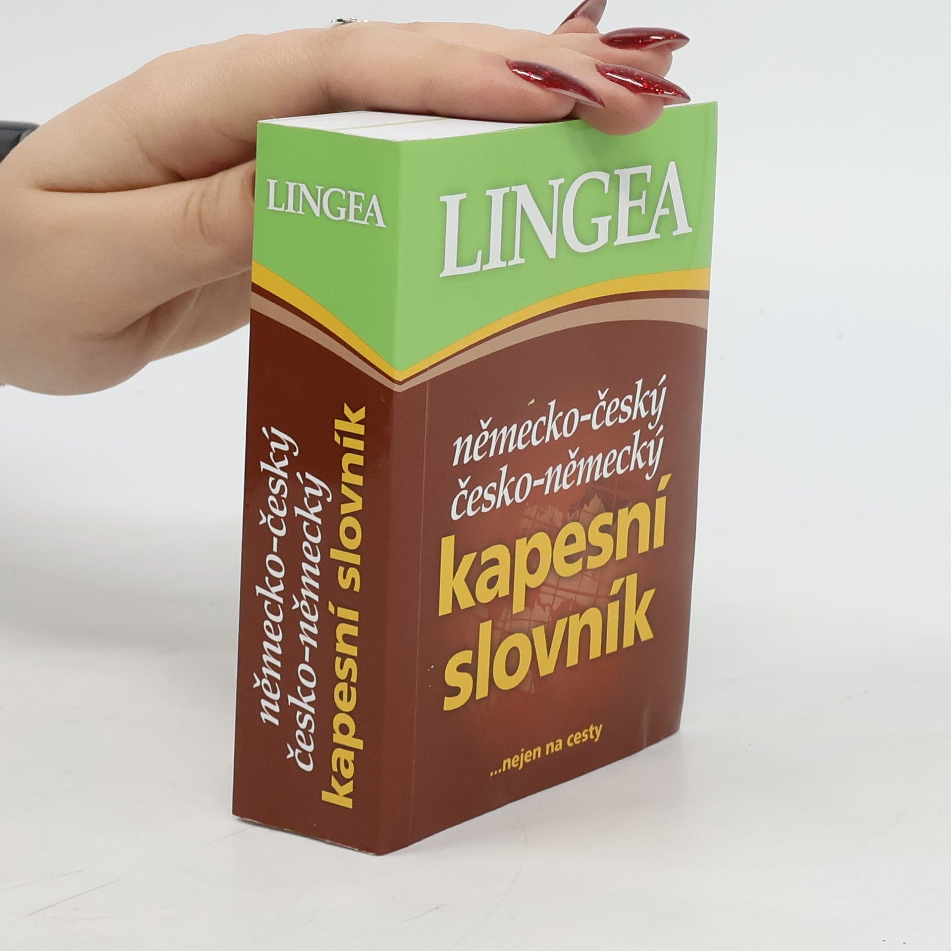 kolektiv Německo-český, česko-německý kapesní slovník