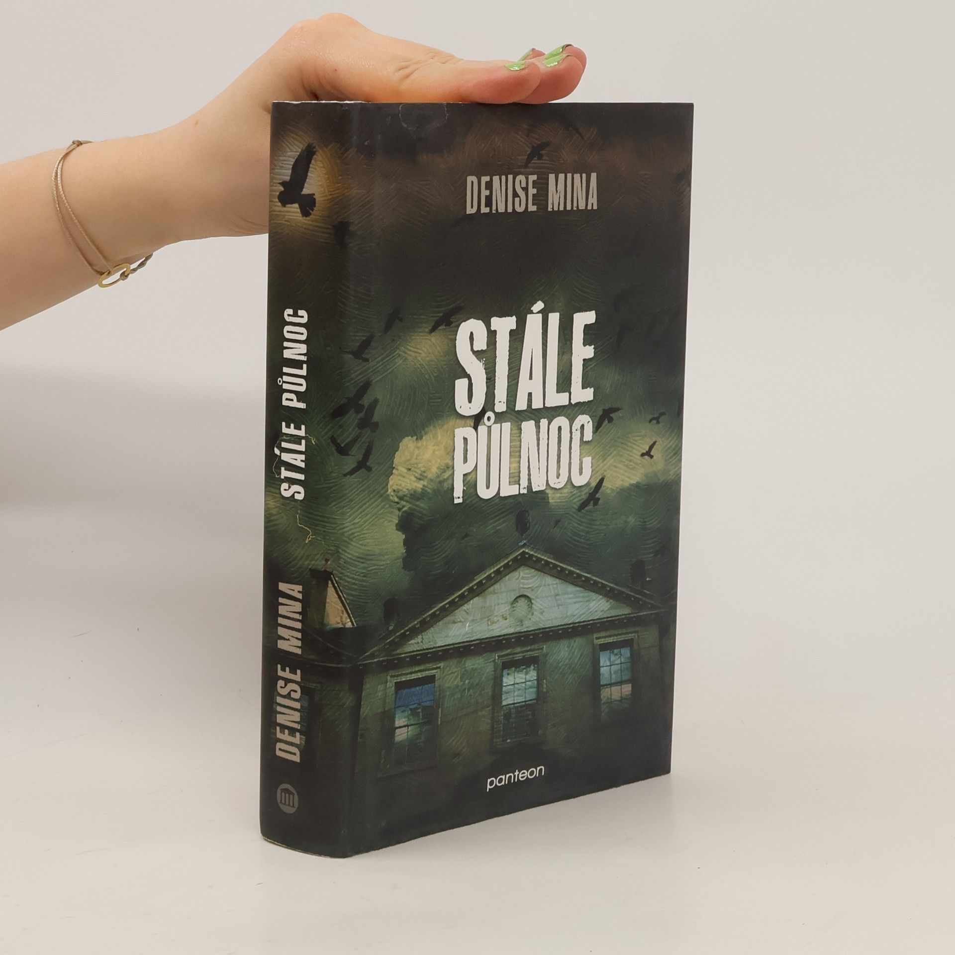 Denise Mina Stále půlnoc