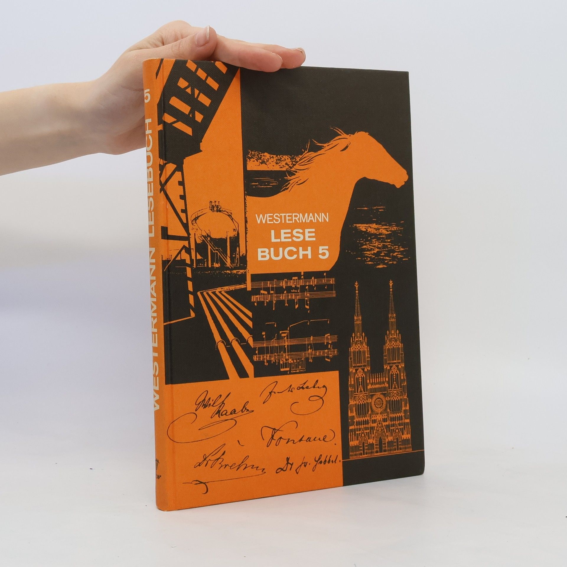 Autorenkollektiv Westermann Lese Buch 5