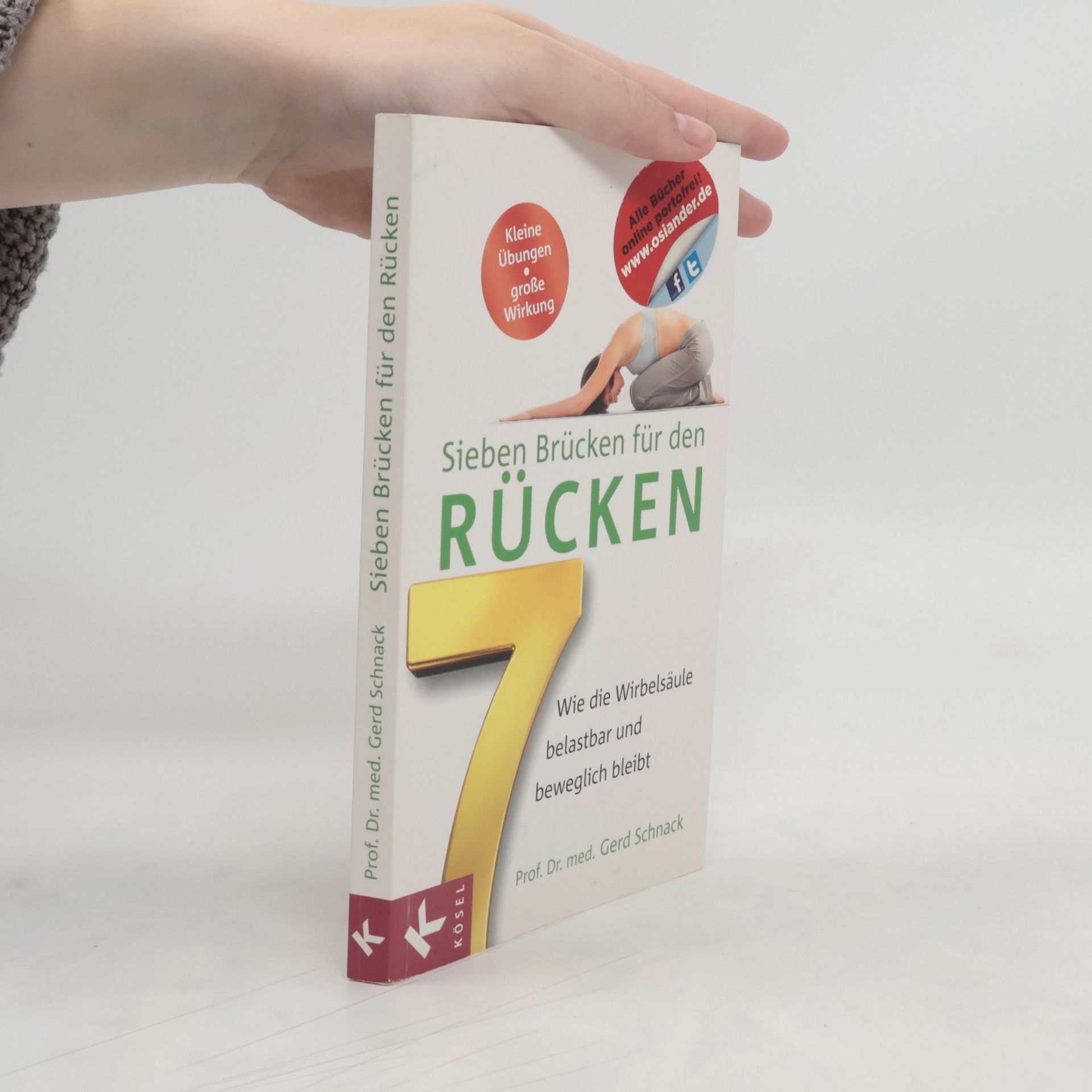 Gerd Schnack Sieben Brücken für den Rücken