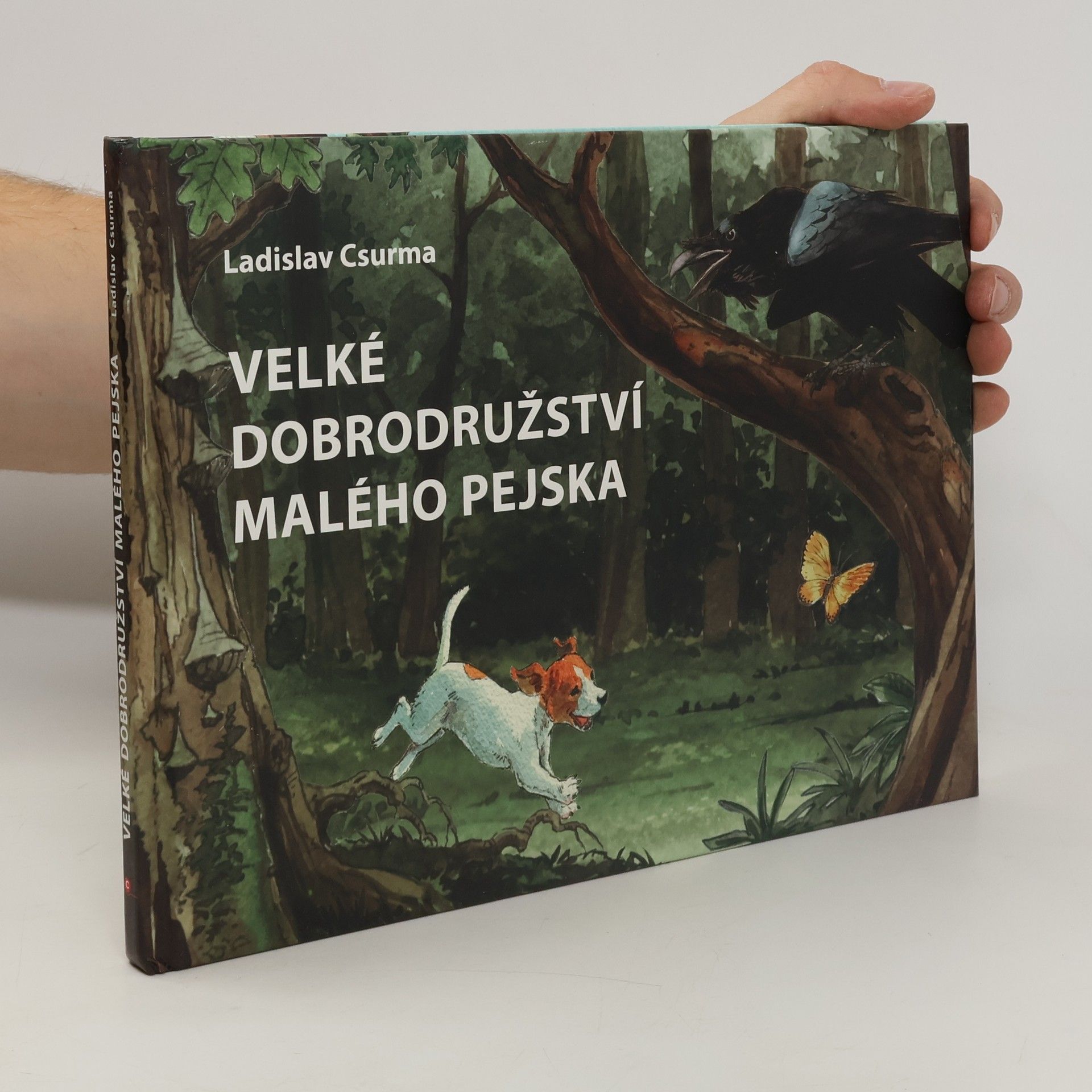 Ladislav Csurma Velké dobrodružství malého pejska