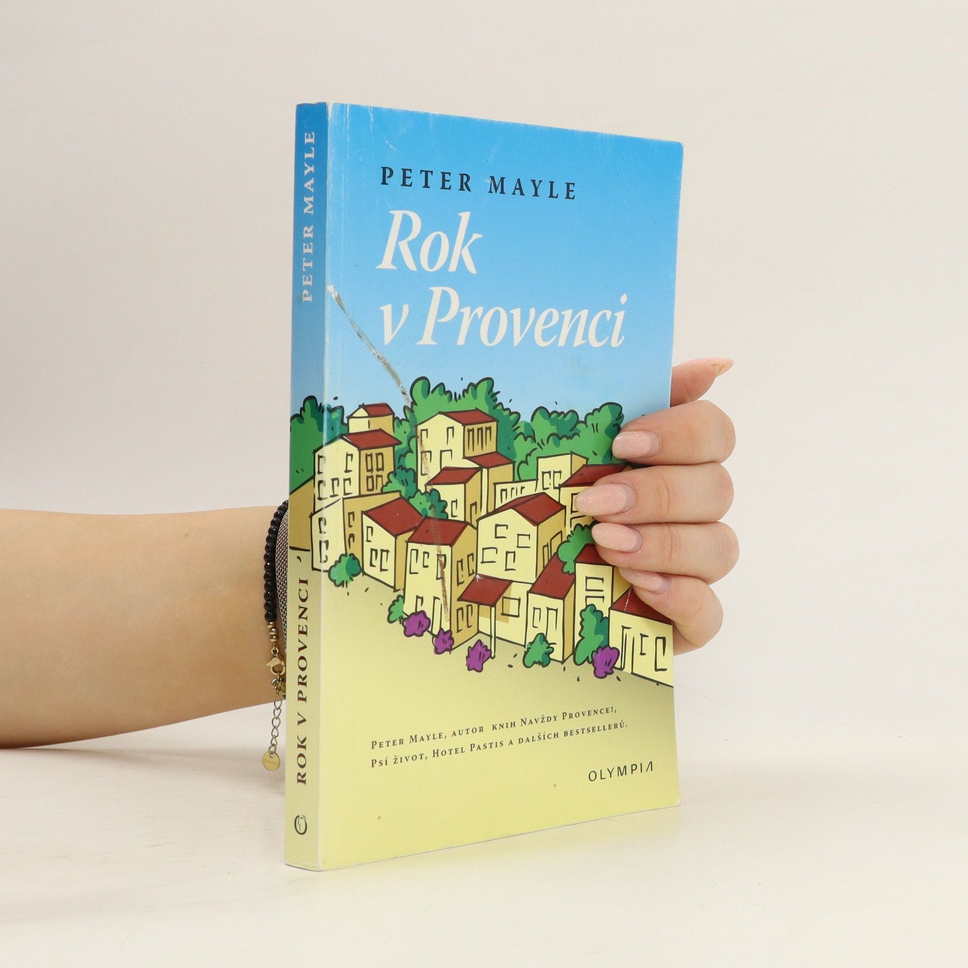 Peter Mayle Rok v Provenci