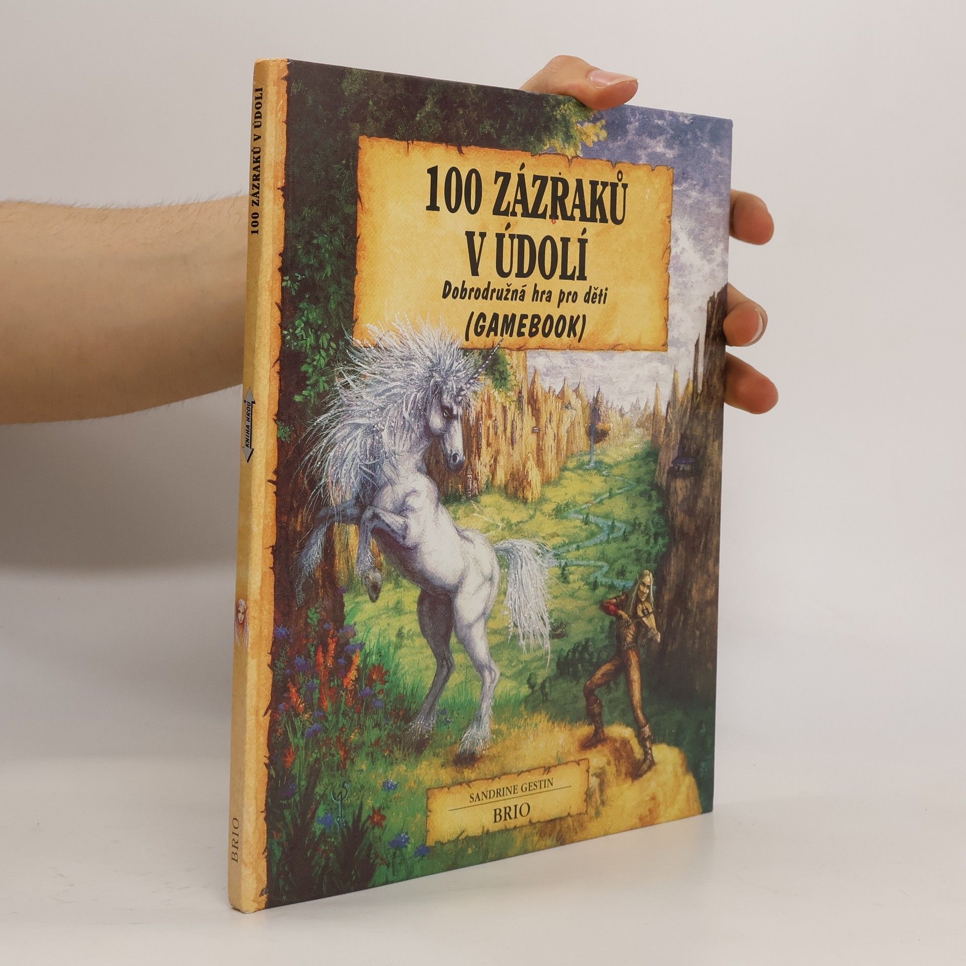Sandrine Gestin 100 zázraků v údolí