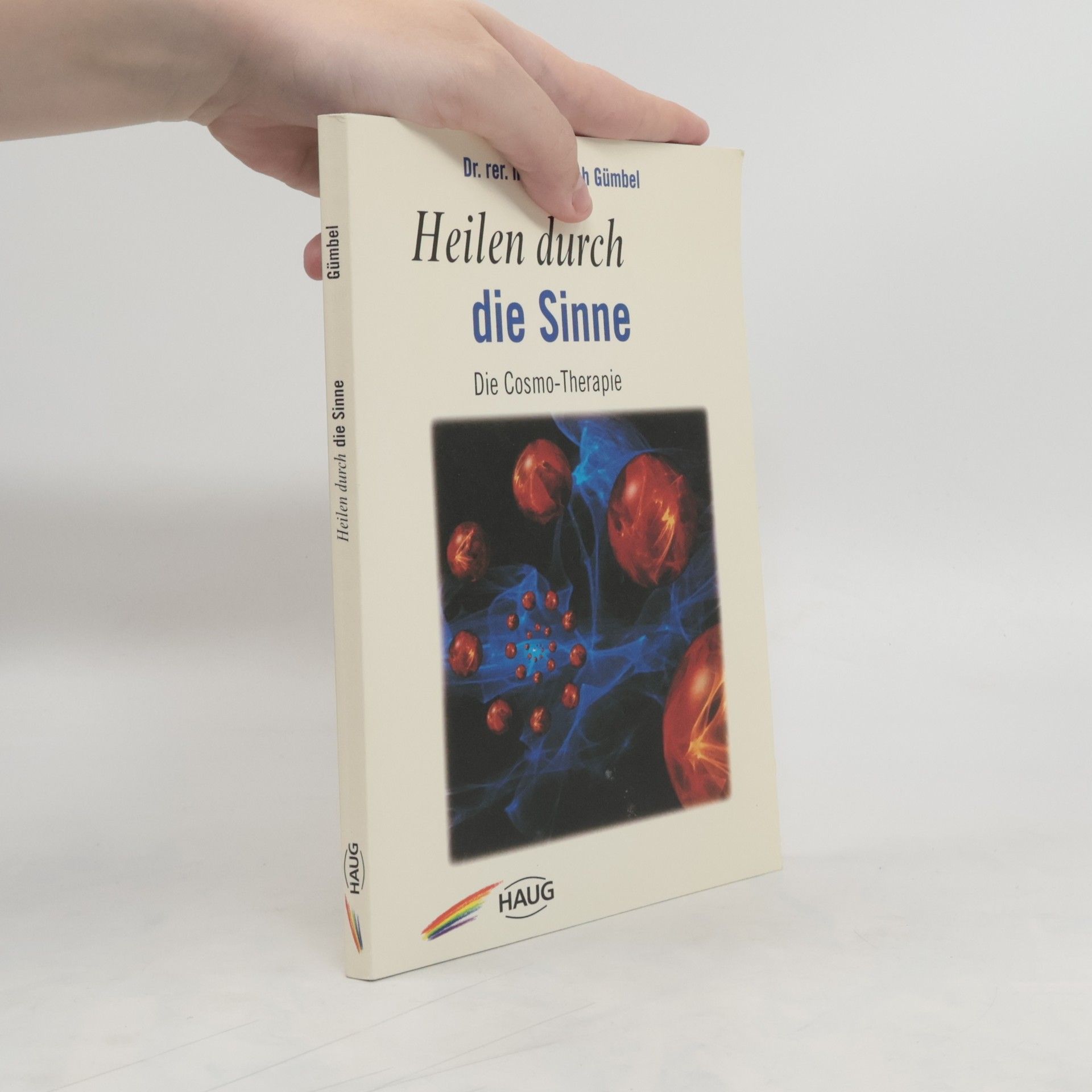 Dietrich Gümbel Heilen durch die Sinne