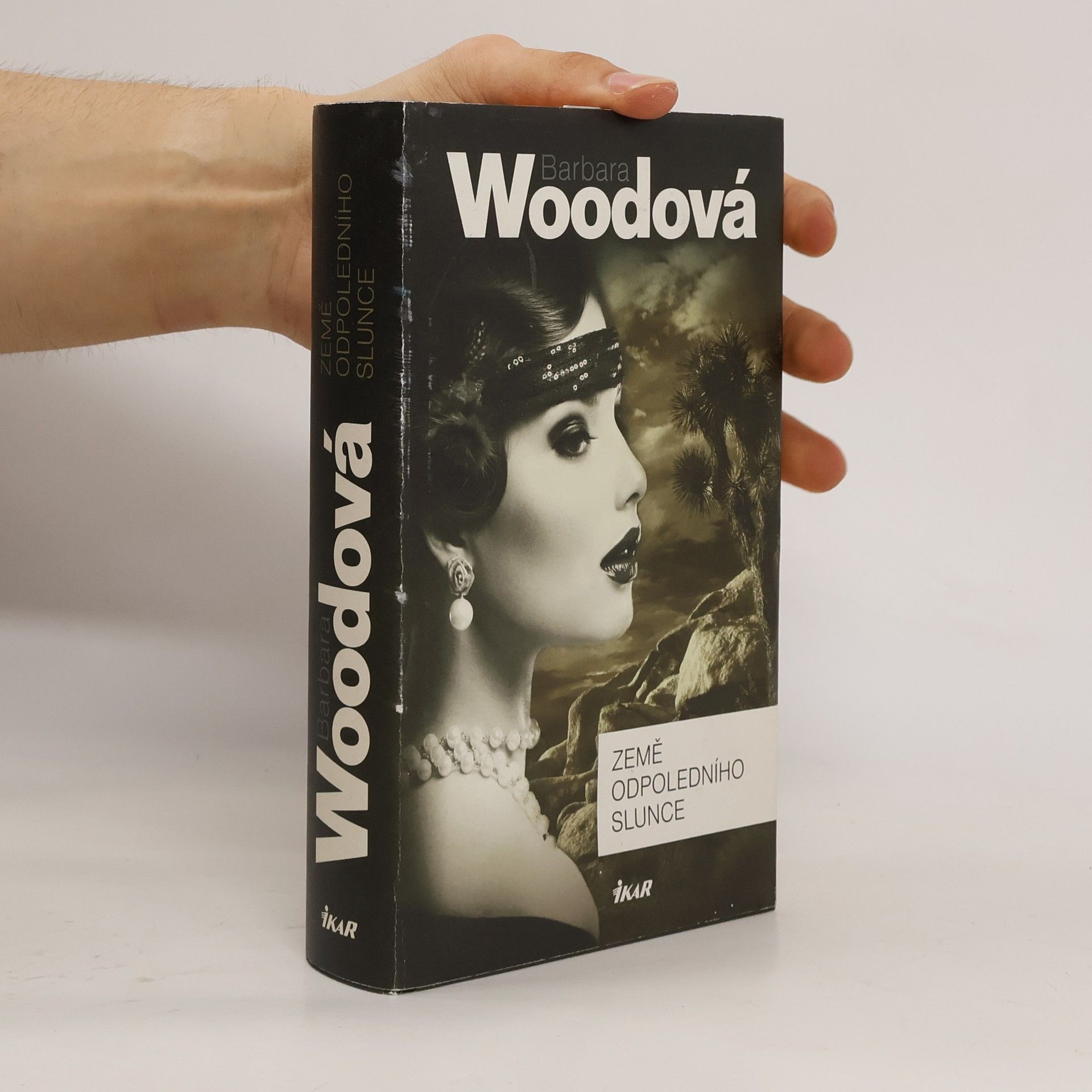 Barbara Wood Země odpoledního slunce