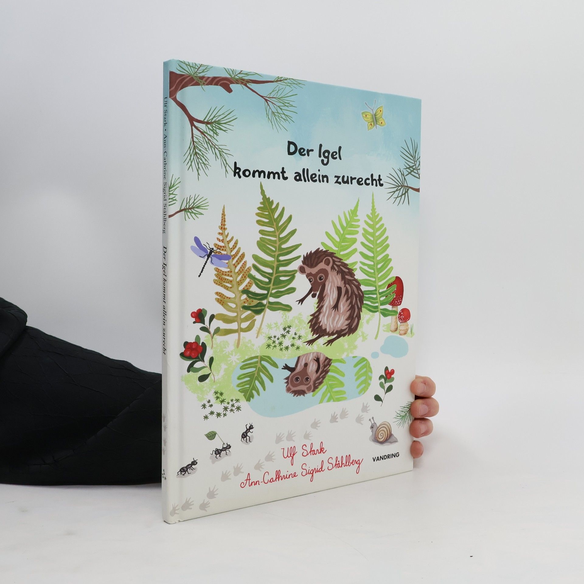 Autorenkollektiv Der Igel kommt allein zurecht