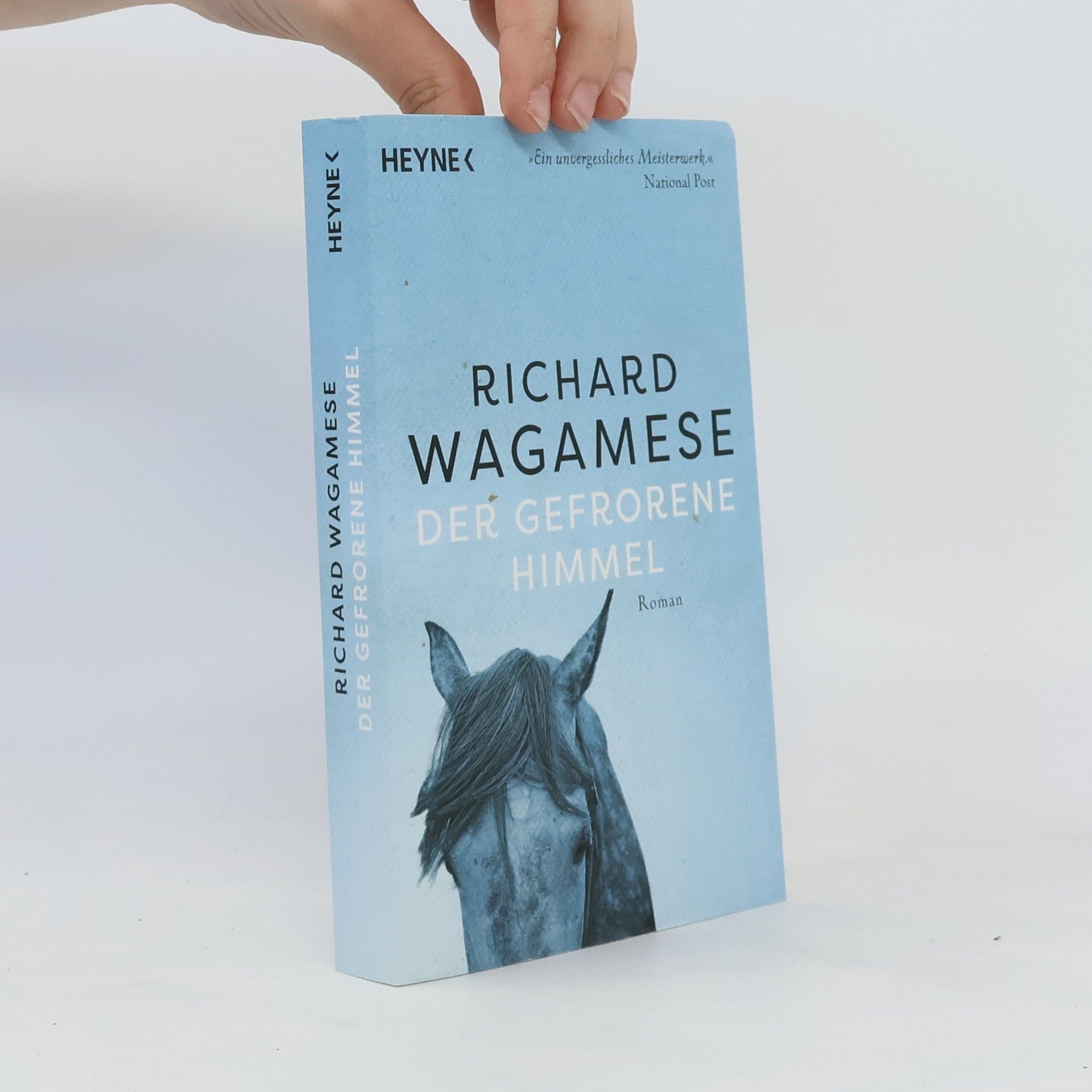 Richard Wagamese Der gefrorene Himmel