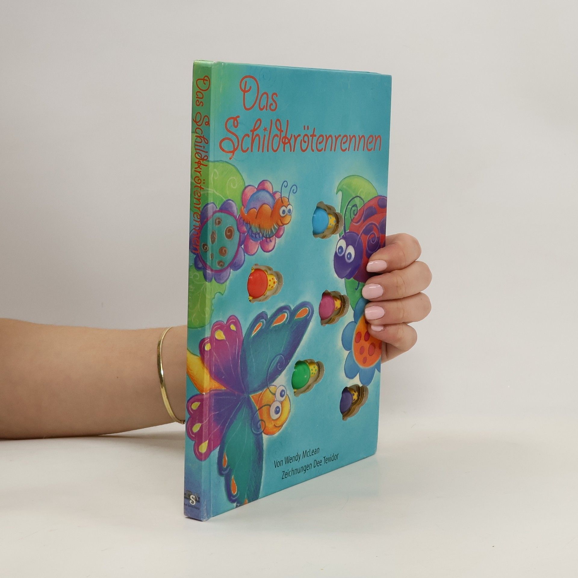 Autorenkollektiv Das Schildkrotenrennen