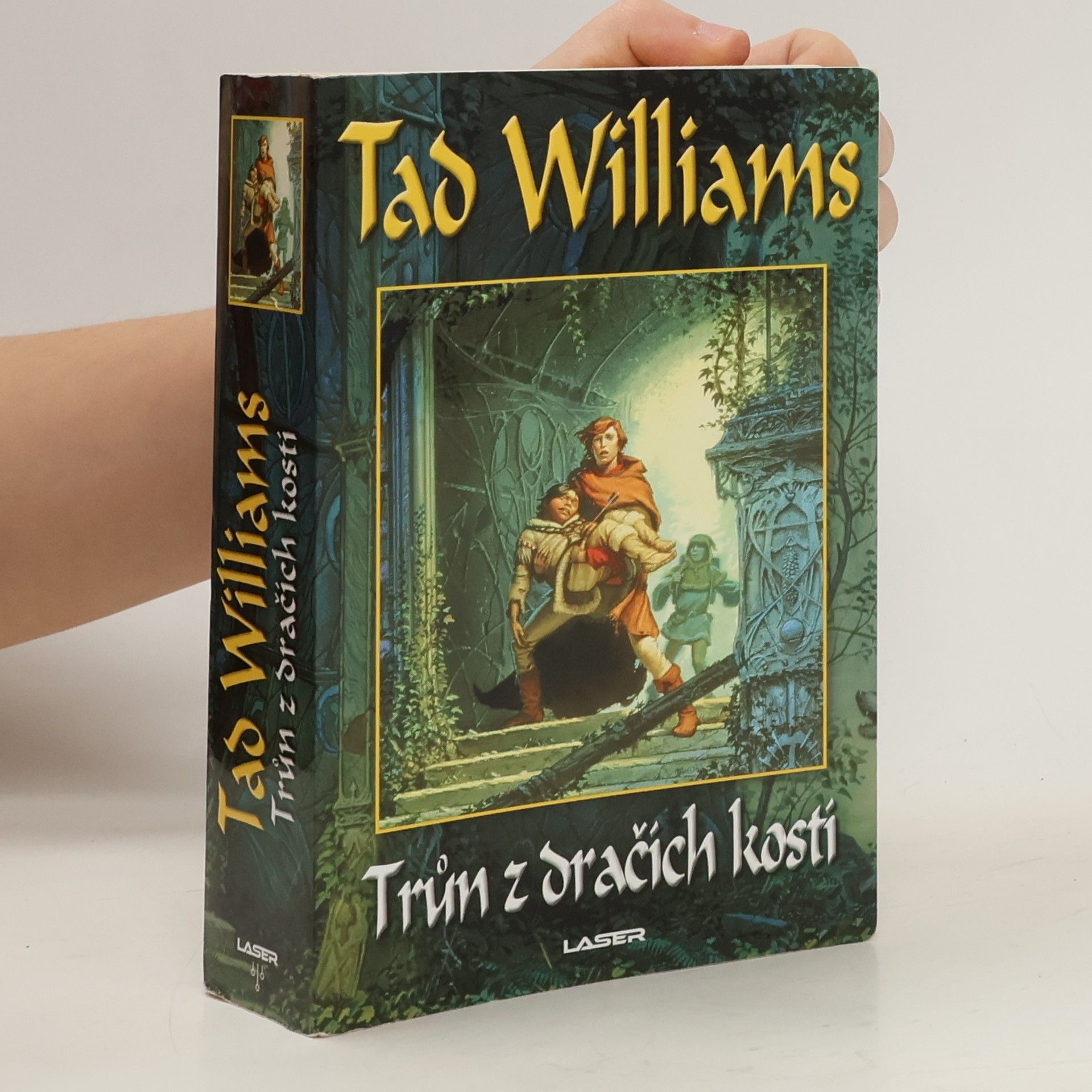 Tad Williams Jasný osten, žal a trn. První kniha trilogie, Trůn z dračích kostí