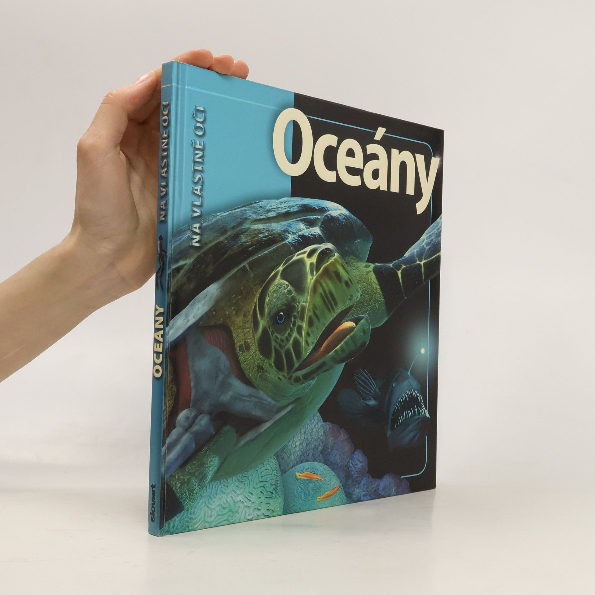 Beverly McMillan Oceány