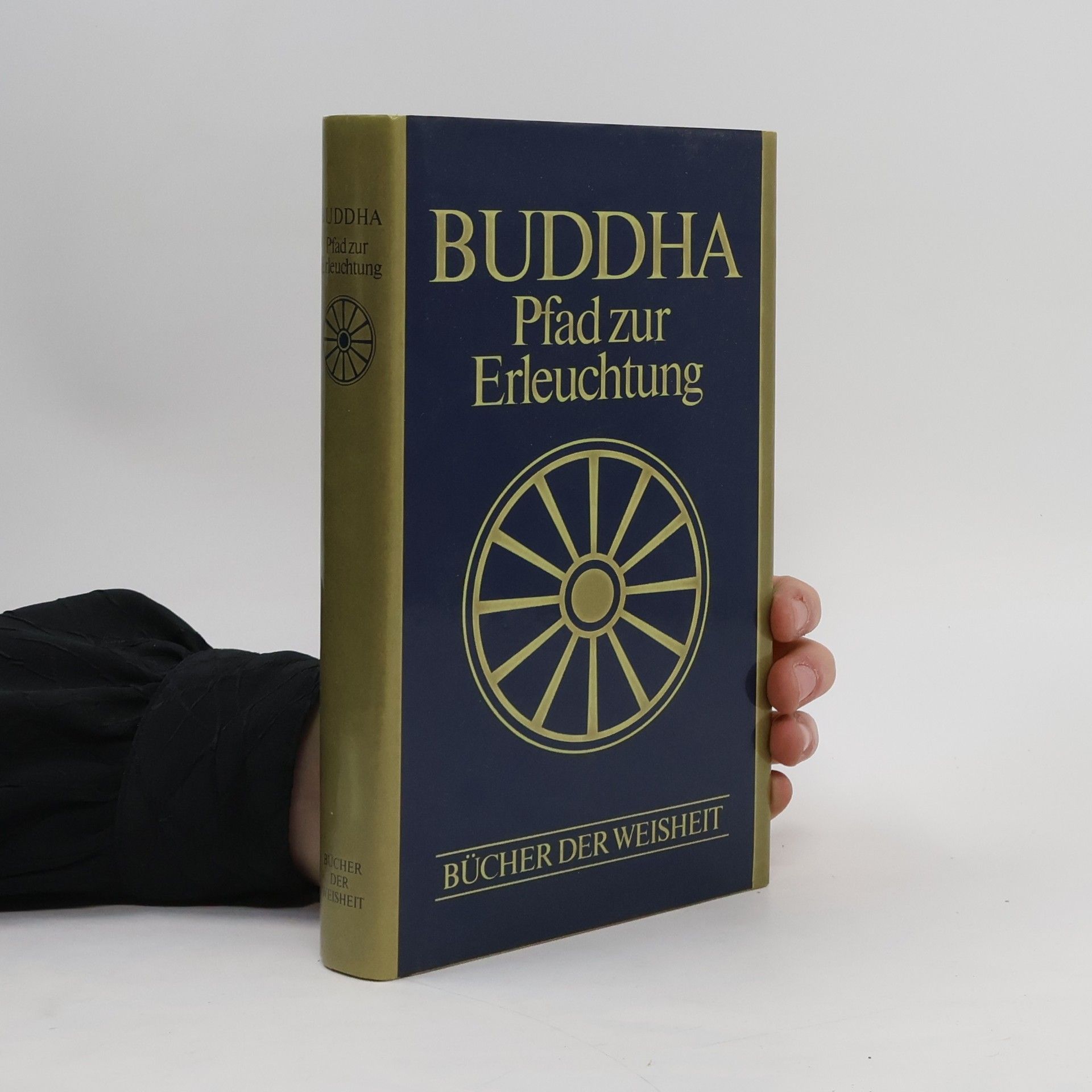 Gautama Buddha Buddha, Pfad zur Erleuchtung