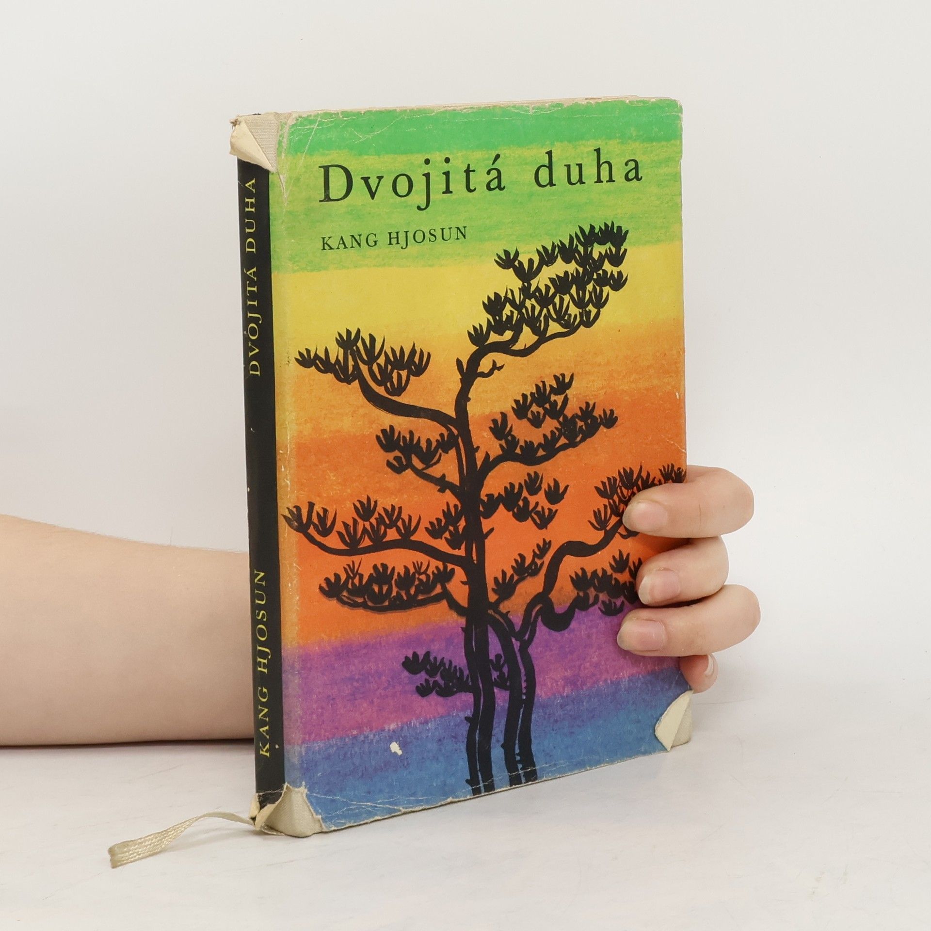 Kang Hjosun Dvojitá duha