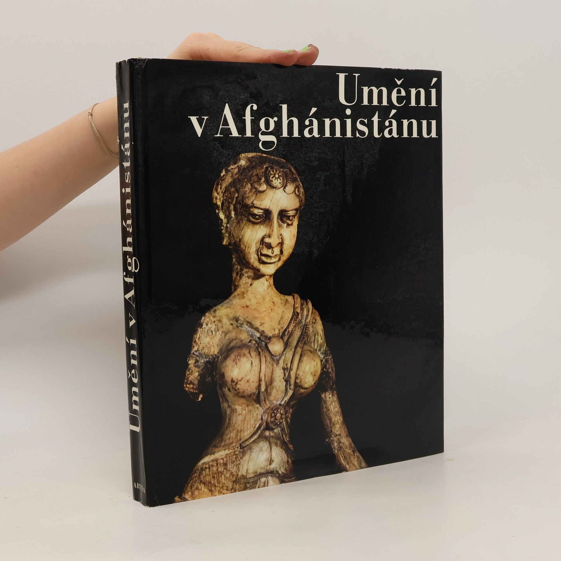 Jeannine Auboyer Umění v Afghánistánu