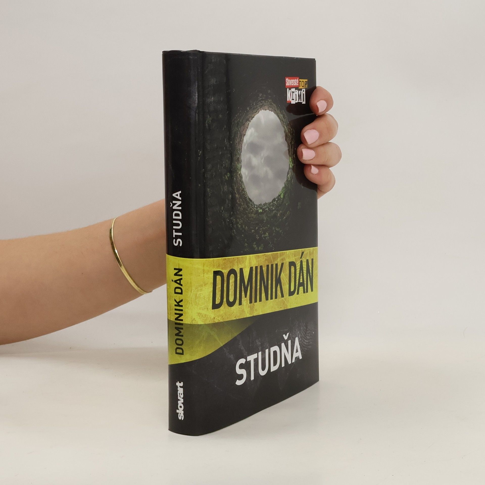 Dominik Dán Studňa