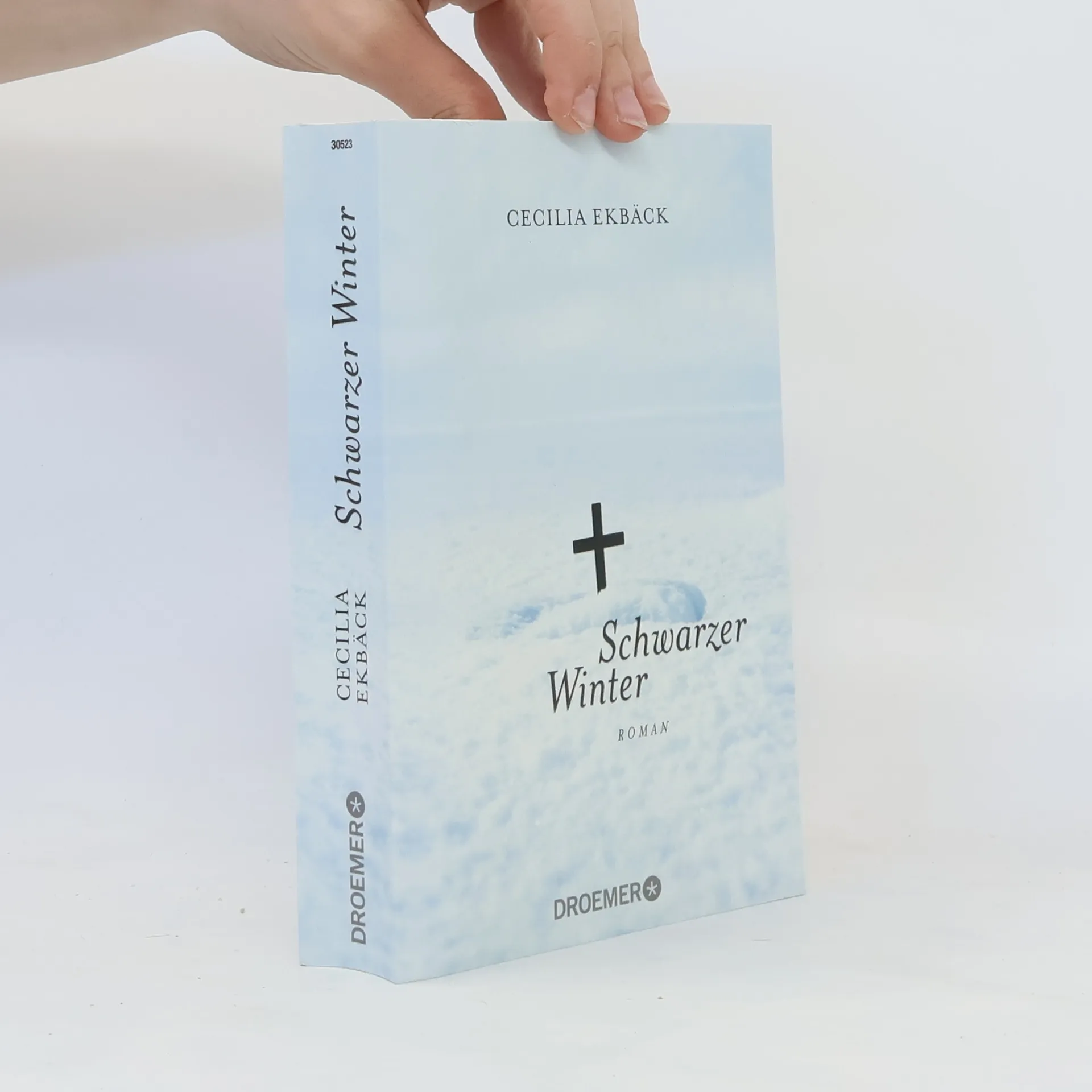 Schwarzer Winter | Buch | Cecilia Ekbäck