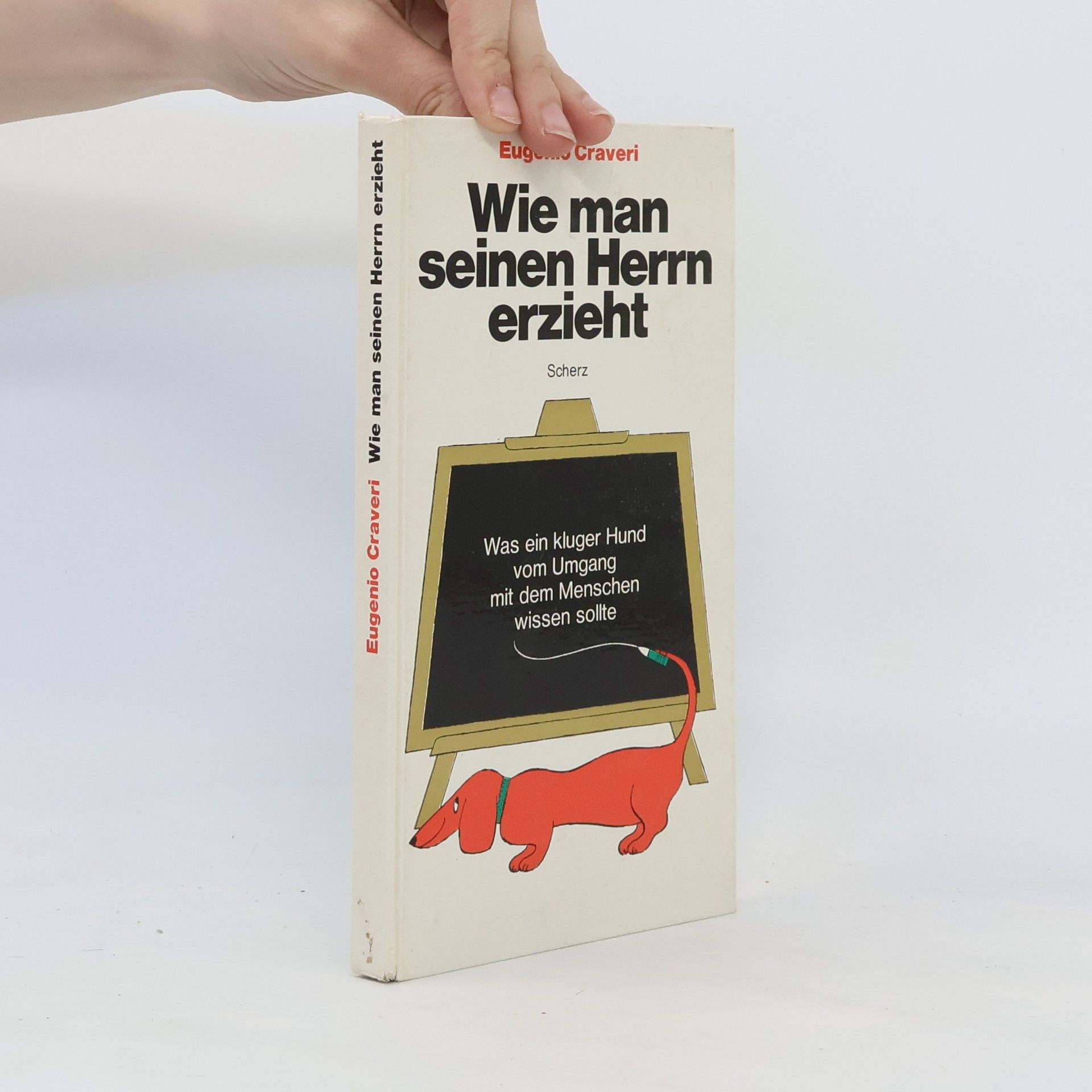 Eugenio Craveri Wie man seinen Herrn erzieht