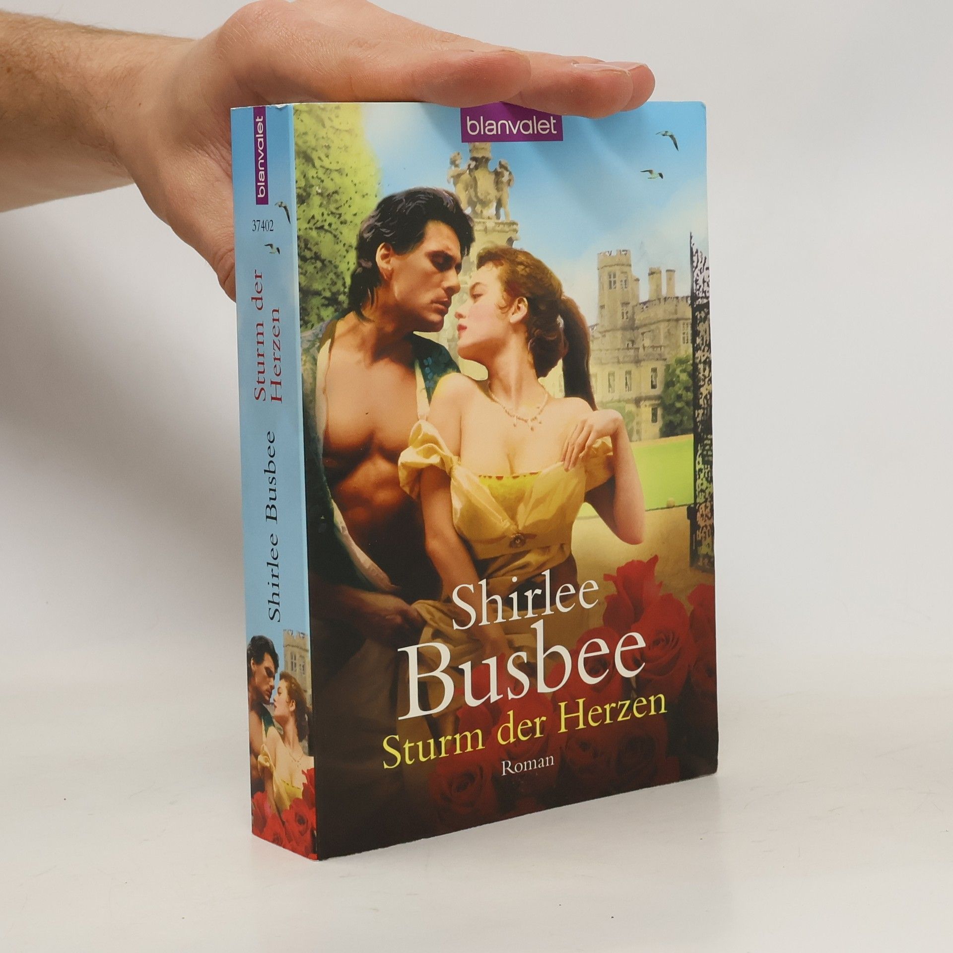 Shirlee Busbee Sturm der Herzen. Roman