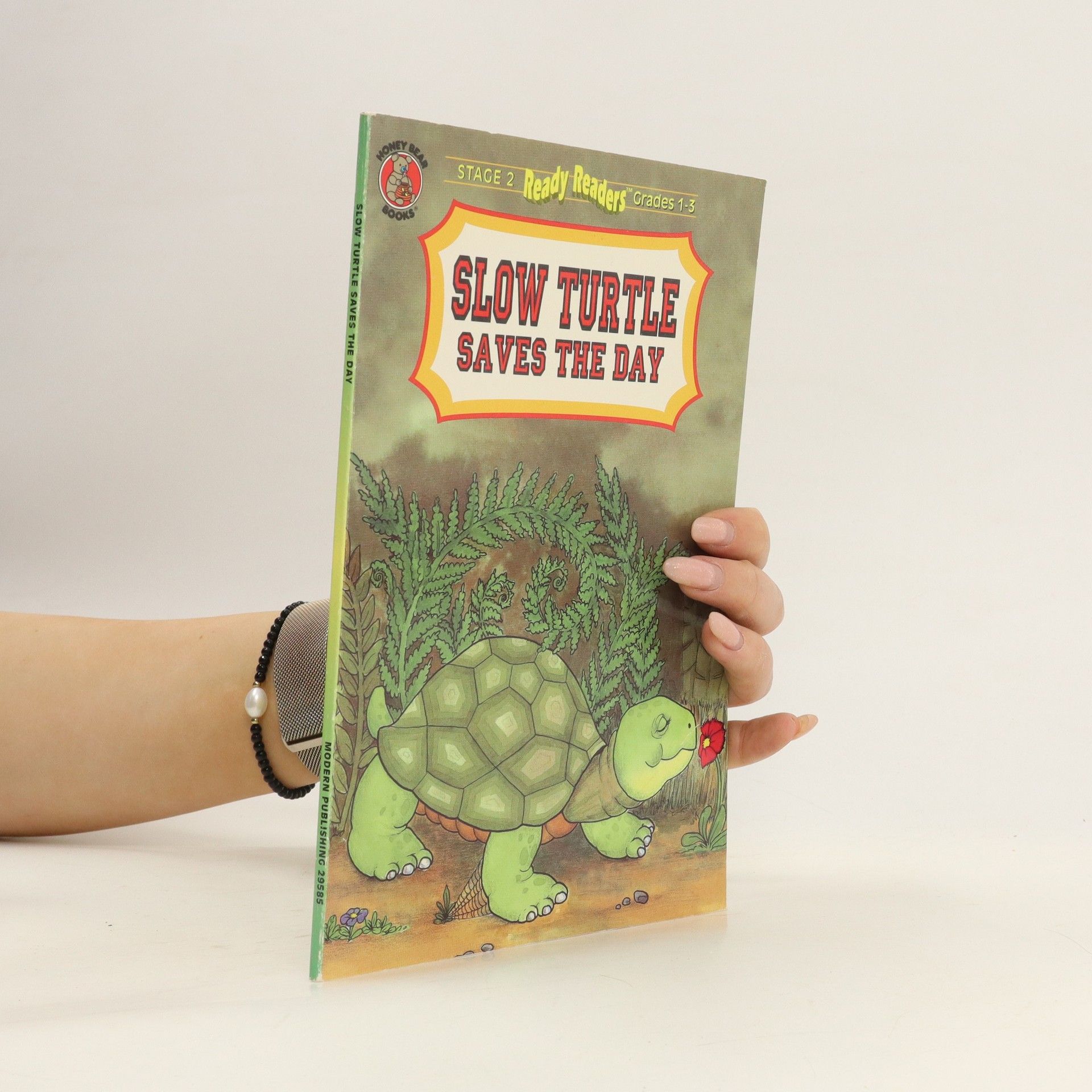 Agatha Brown Slow Turtle Saves the Day