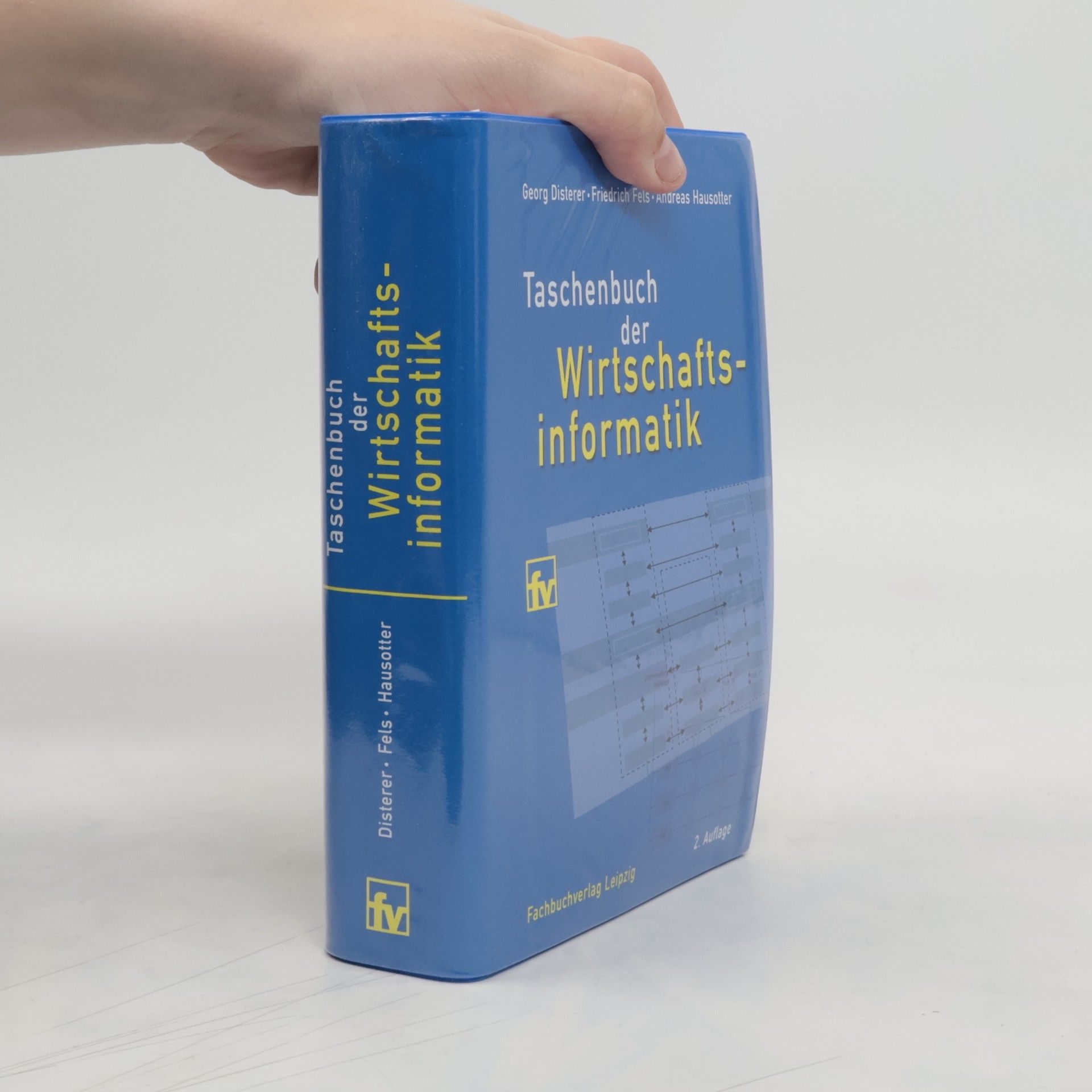 Georg Disterer Taschenbuch der Wirtschaftsinformatik