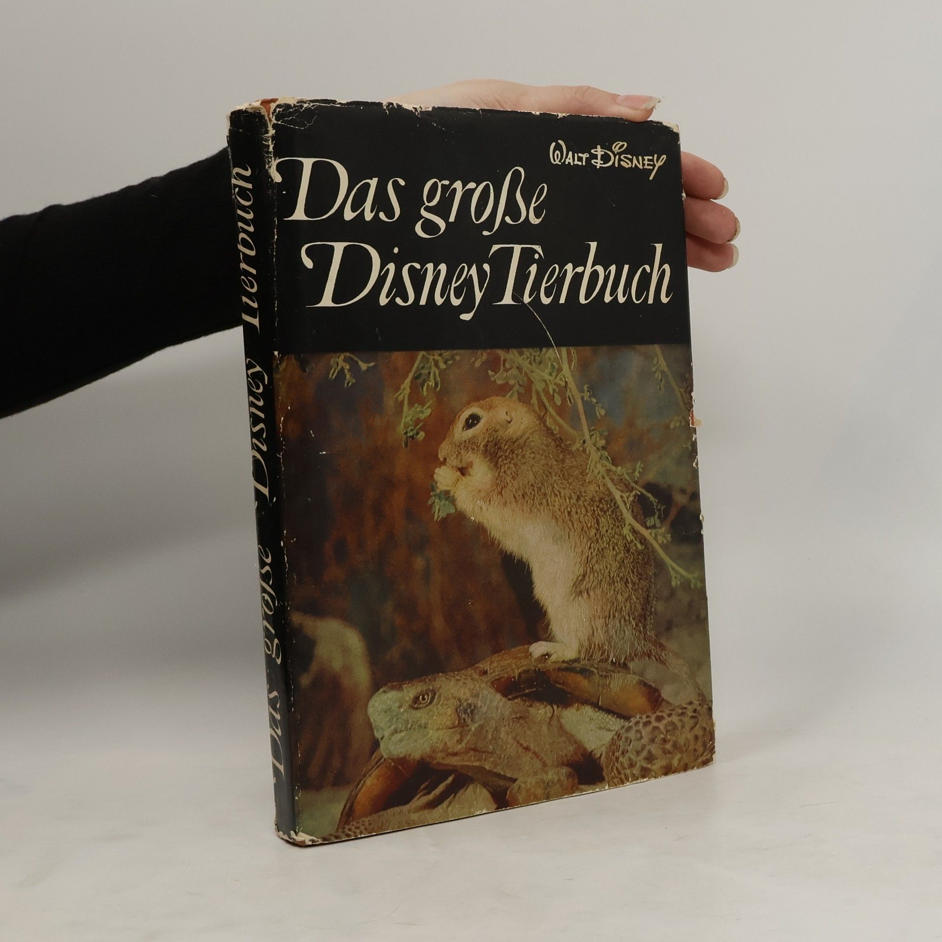 kolektiv Das grosse Disney Tierbuch