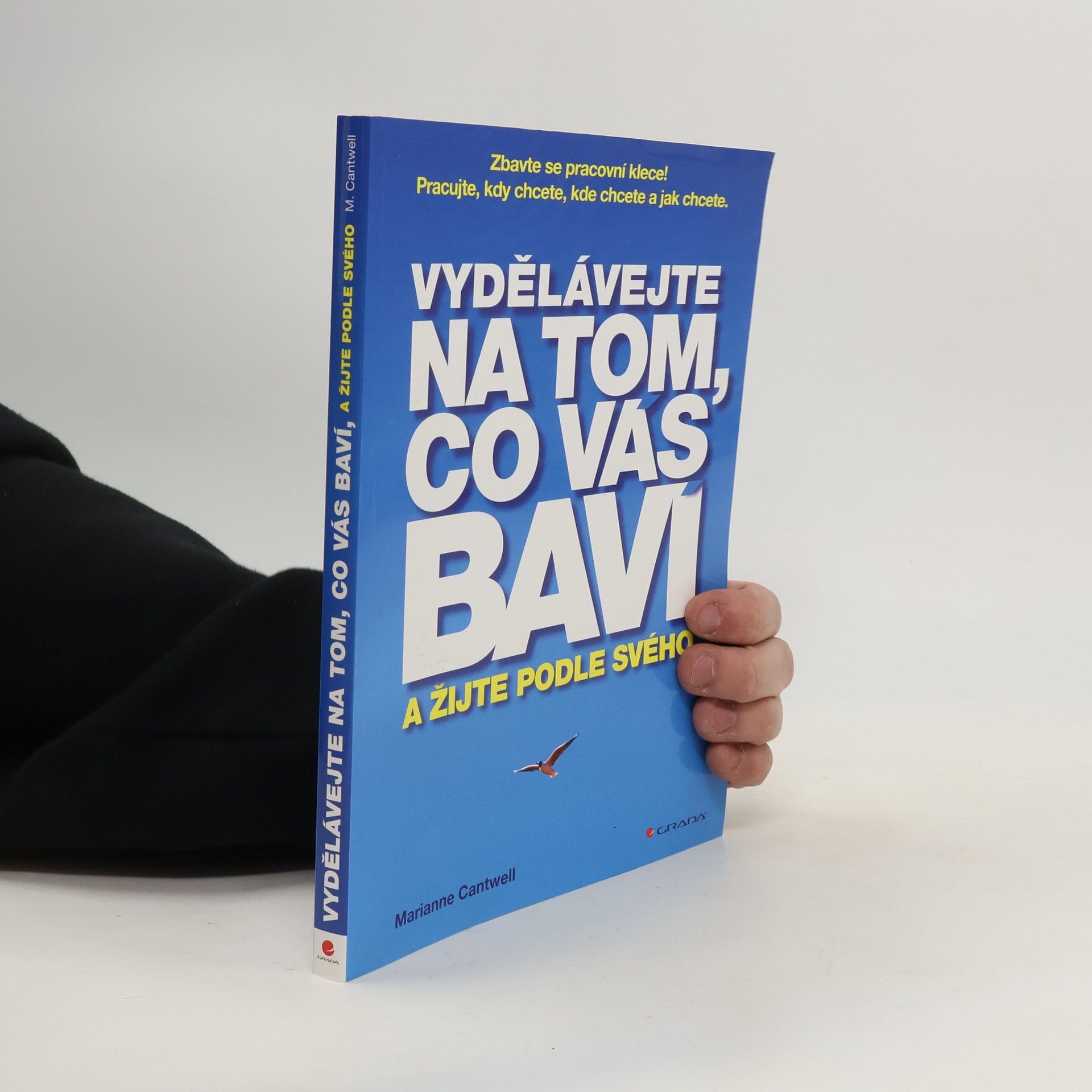 Marianne Cantwell Vydělávejte na tom, co vás baví, a žijte podle svého