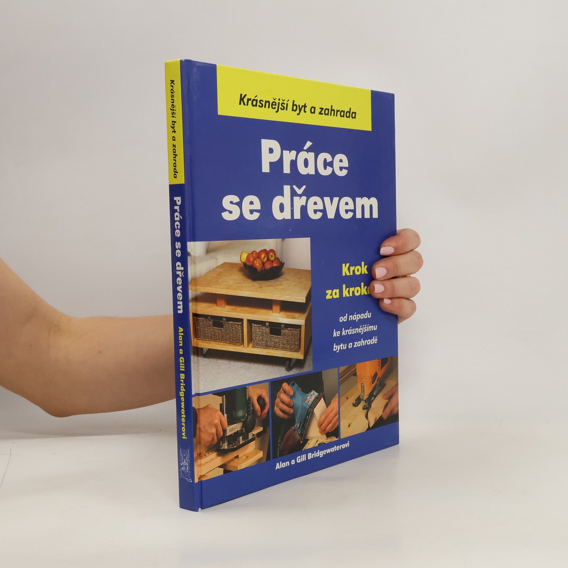 Alan Bridgewater Práce se dřevem krok za krokem