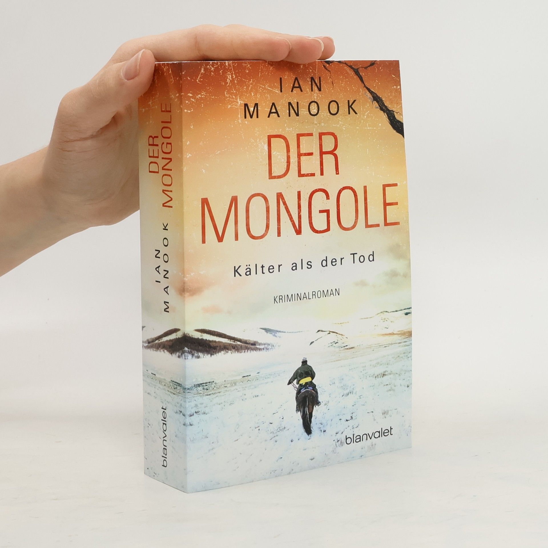Ian Manook Der Mongole - Kälter als der Tod