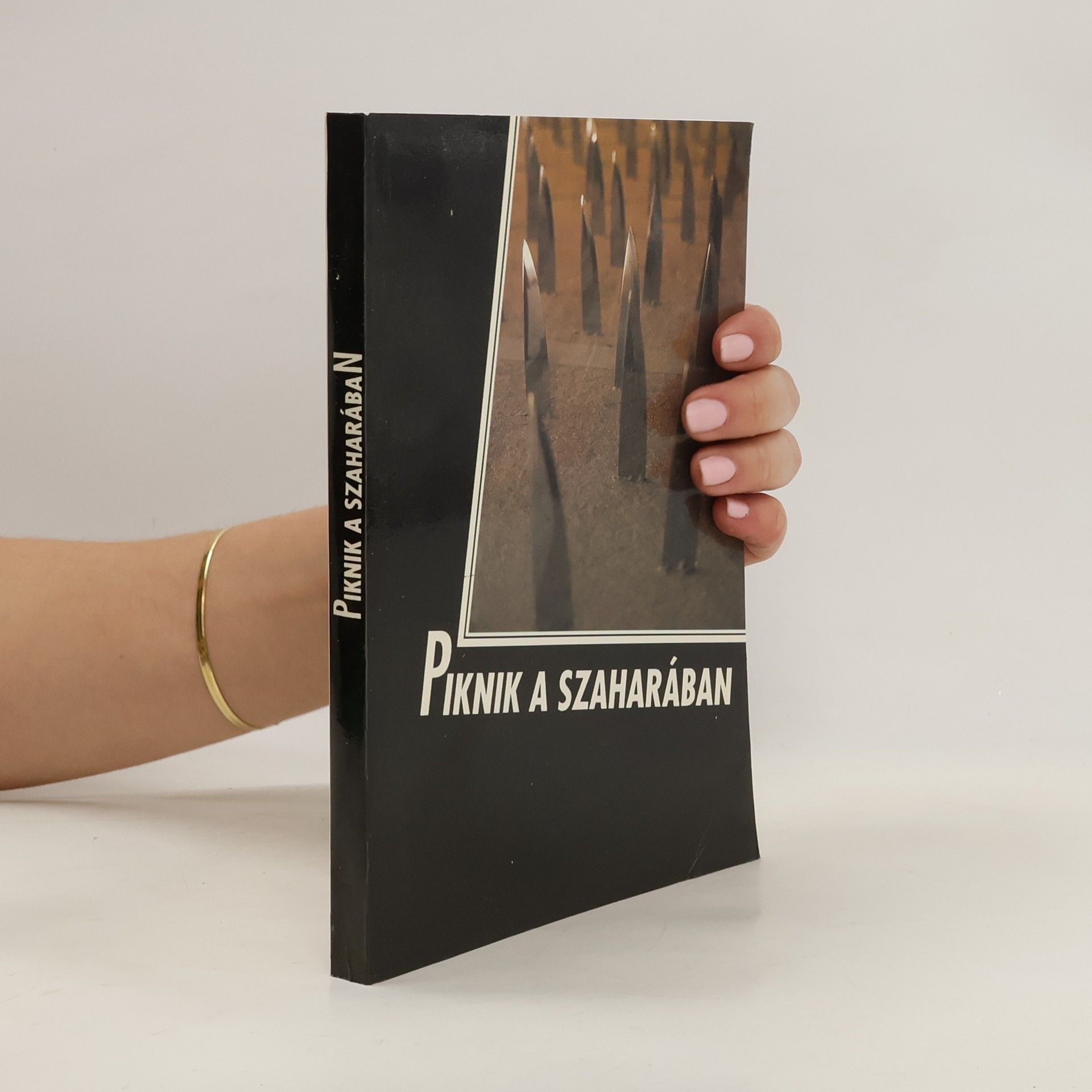 Autorenkollektiv Piknik a Szaharában
