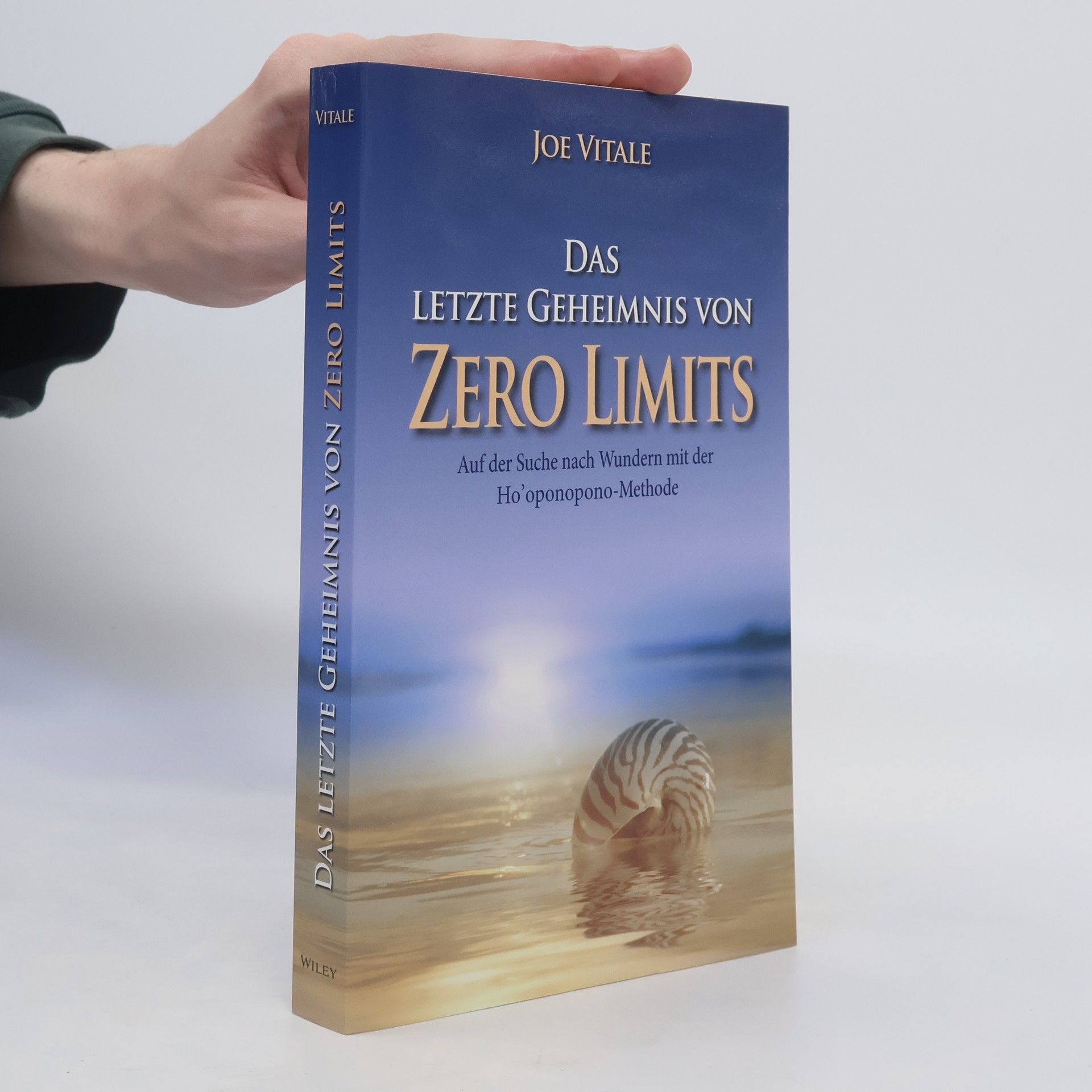 Joe Vitale Das letzte Geheimnis von "Zero Limits"