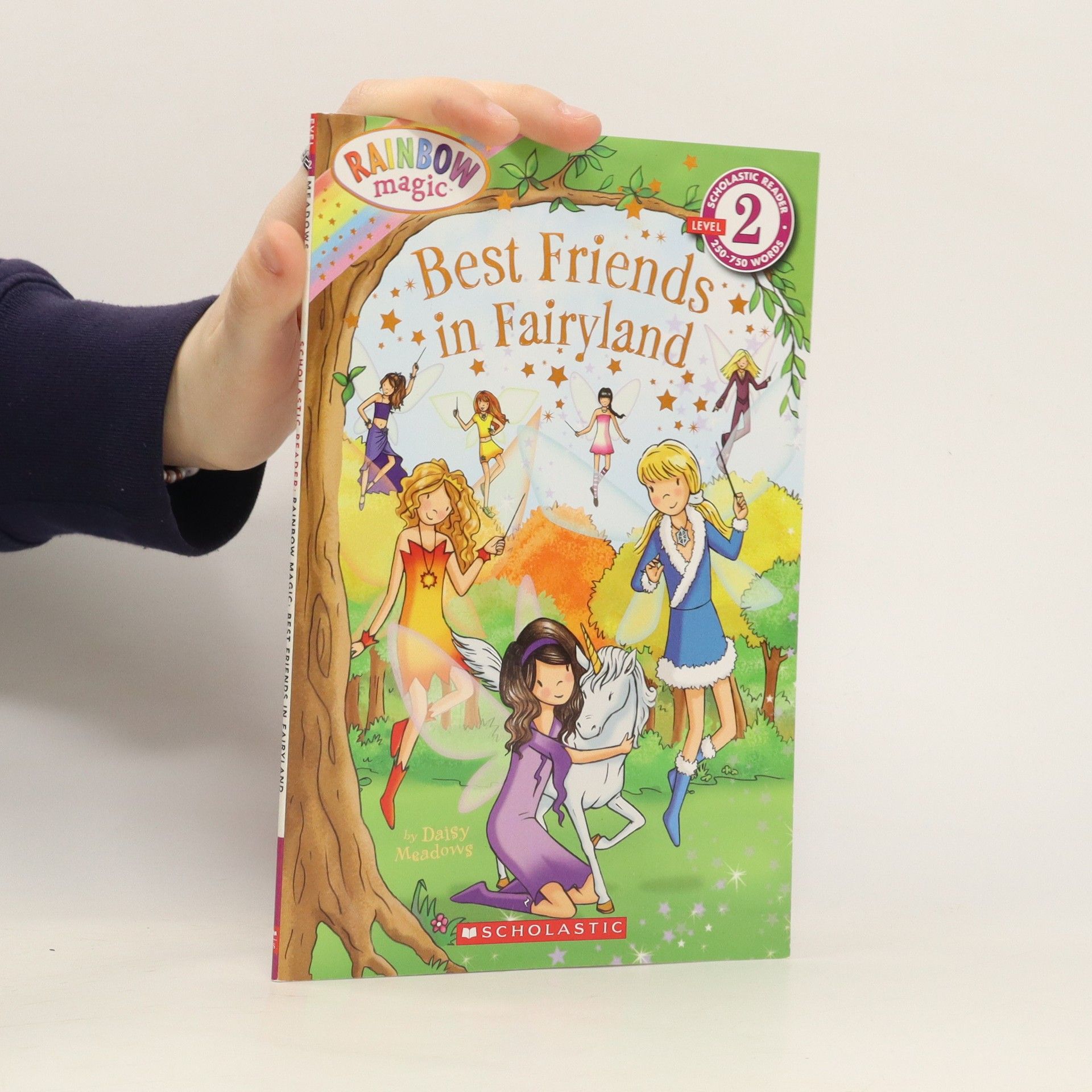 Daisy Meadows Best Friends in Fairyland
