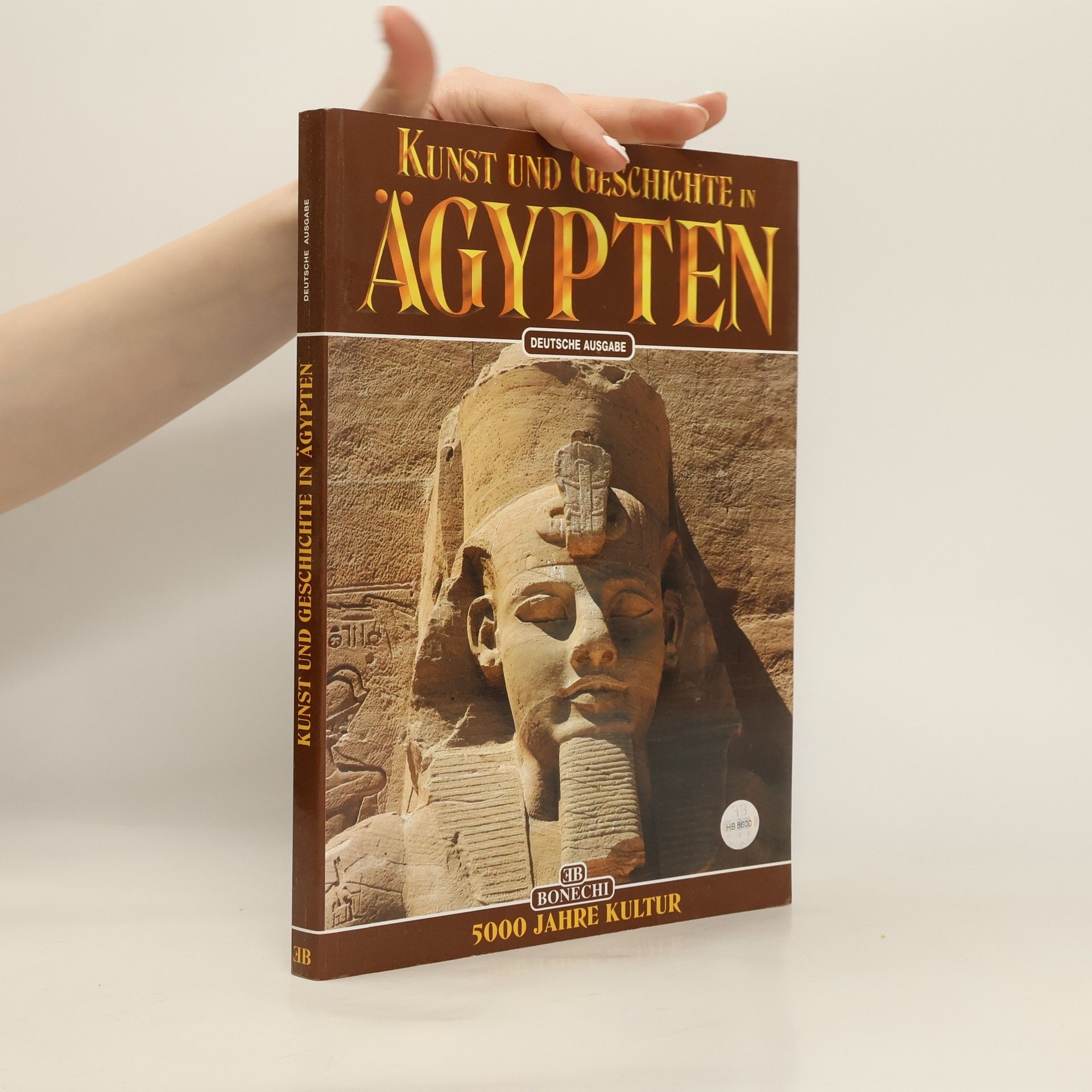 Alberto Carlo Carpiceci Kunst und Geschichte in Ägypten