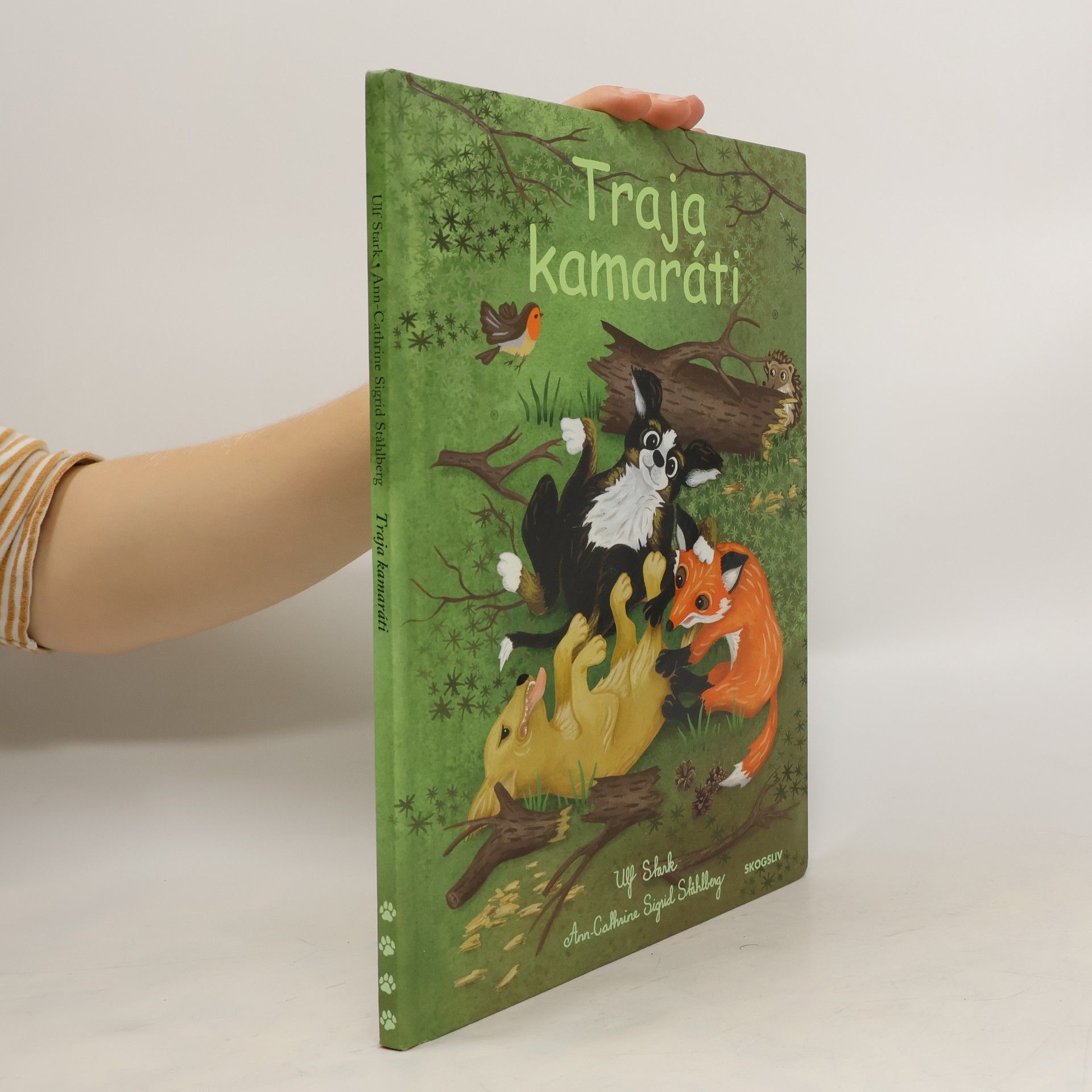 kolektiv Traja kamaráti