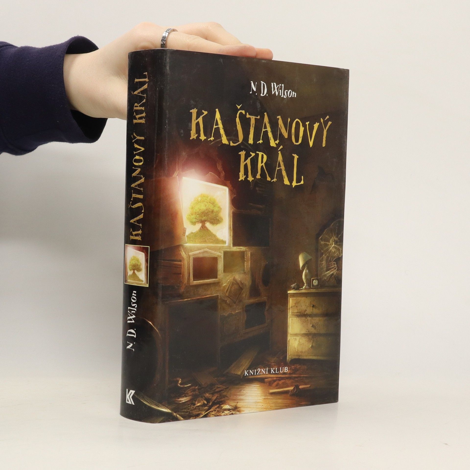 N. D. Wilson Kaštanový král