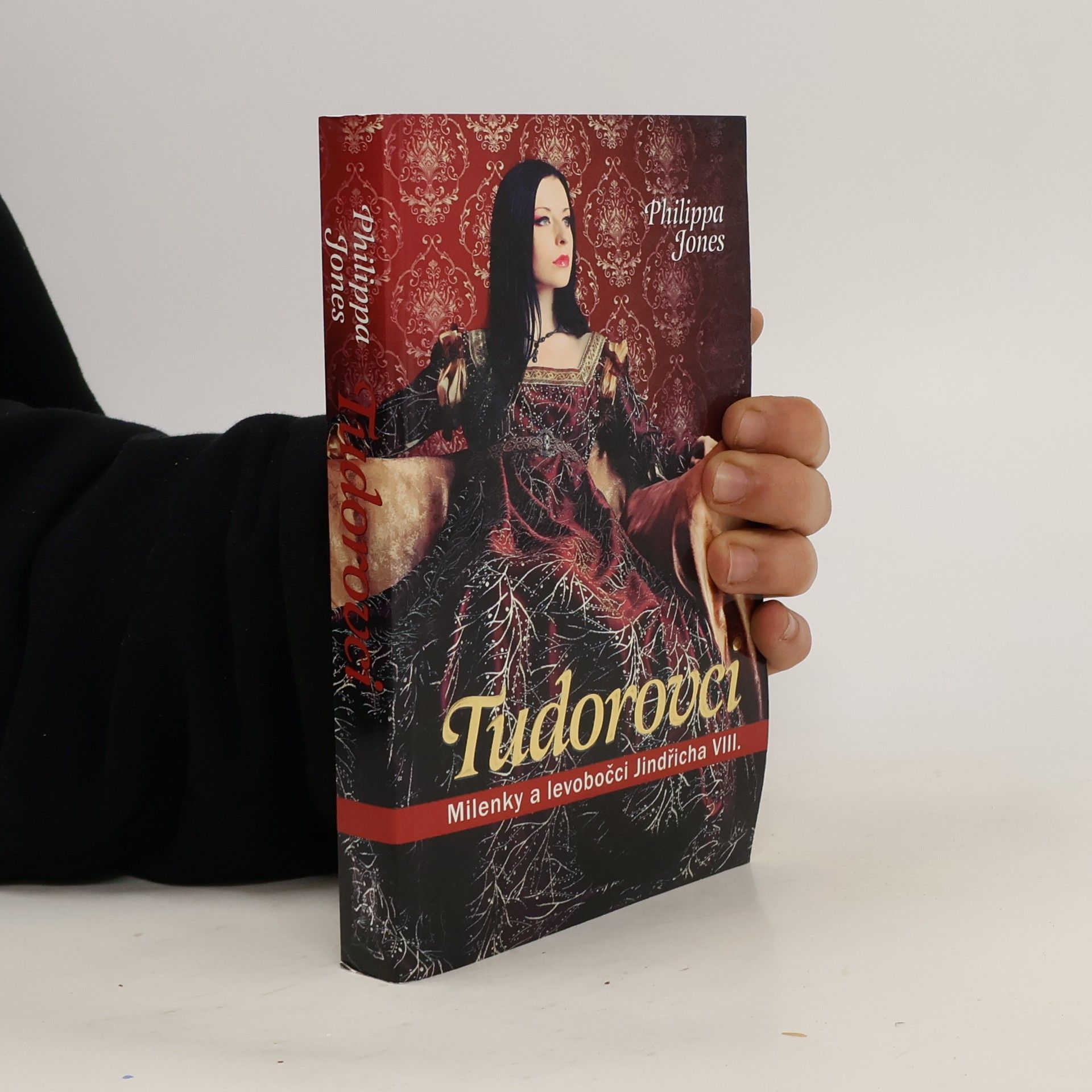 Pip Jones Tudorovci: Milenky a levobočci Jindřicha VIII.