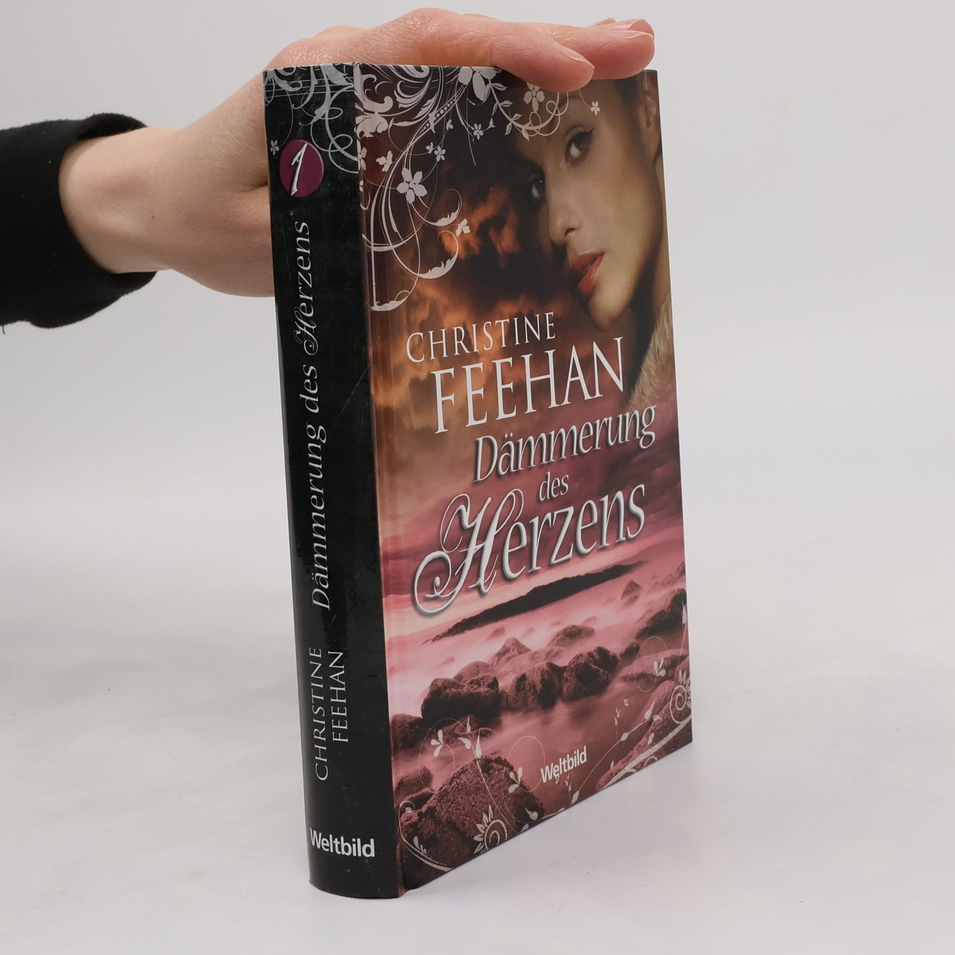 Christine Feehan Dämmerung des Herzens