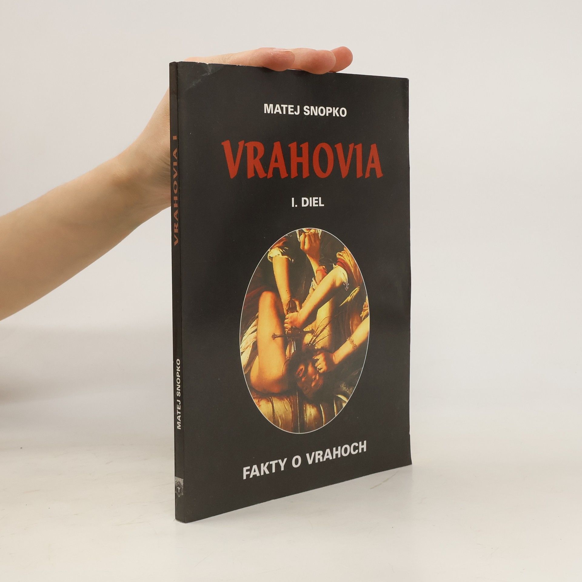 Matej Snopko Vrahovia I.