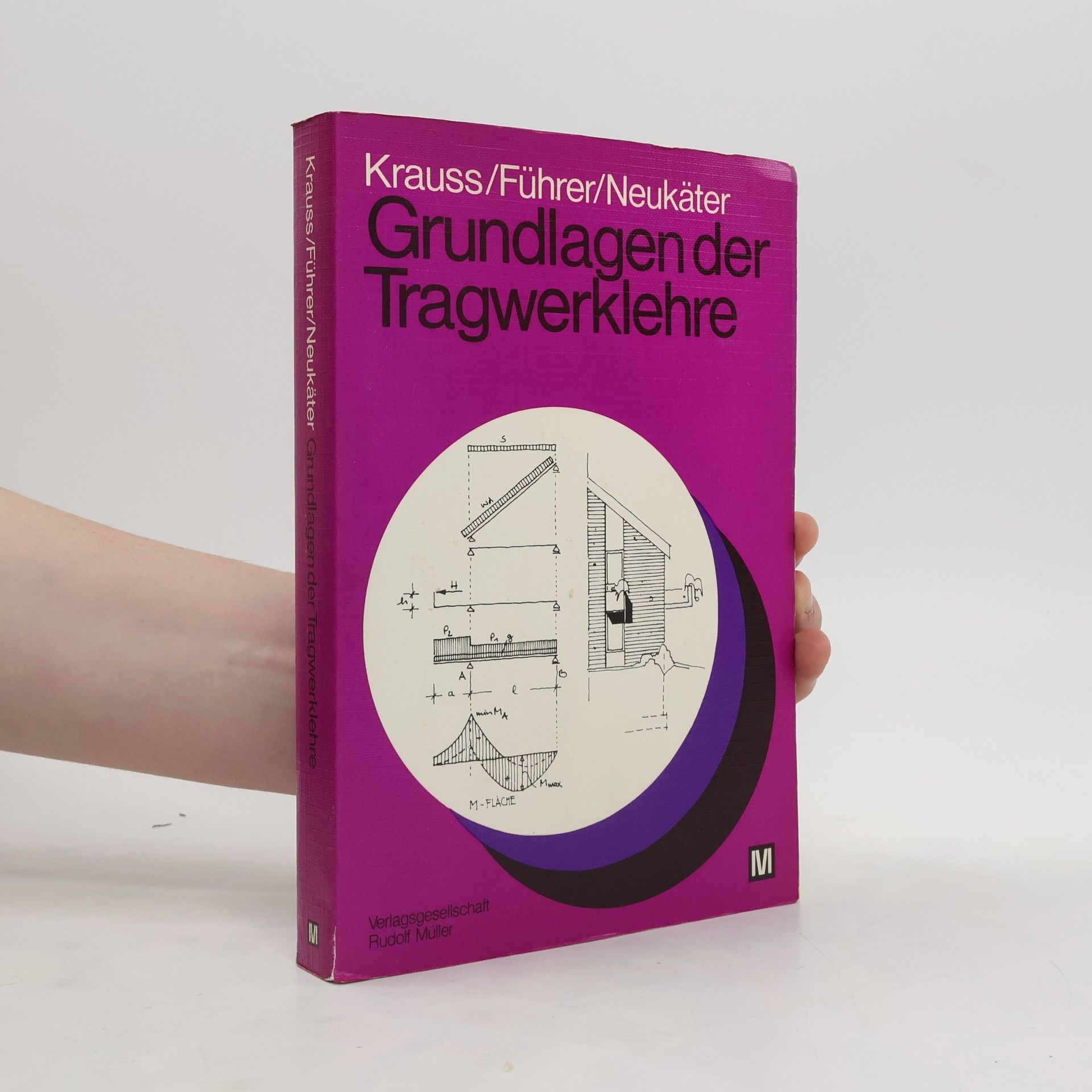 Franz Krauss Grundlagen der Tragwerklehre
