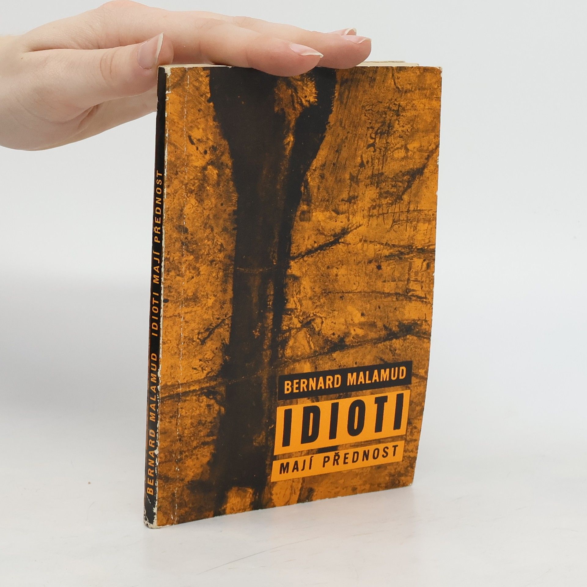 Bernard Malamud Idioti mají přednost