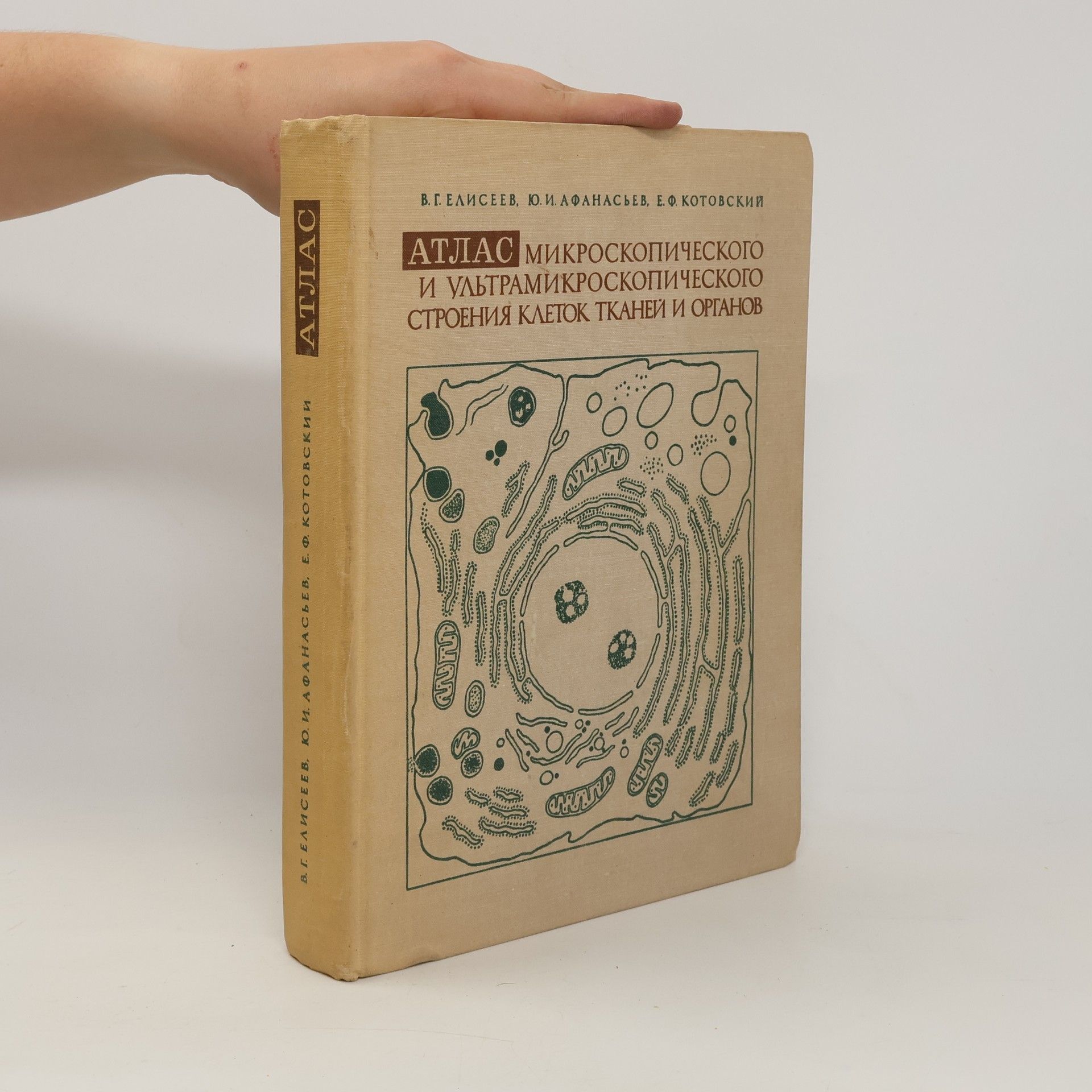 Владимир Григорьевич Елисеев Атлас микроскопического и ультрамикроскопического строения клеток, тканей и органов