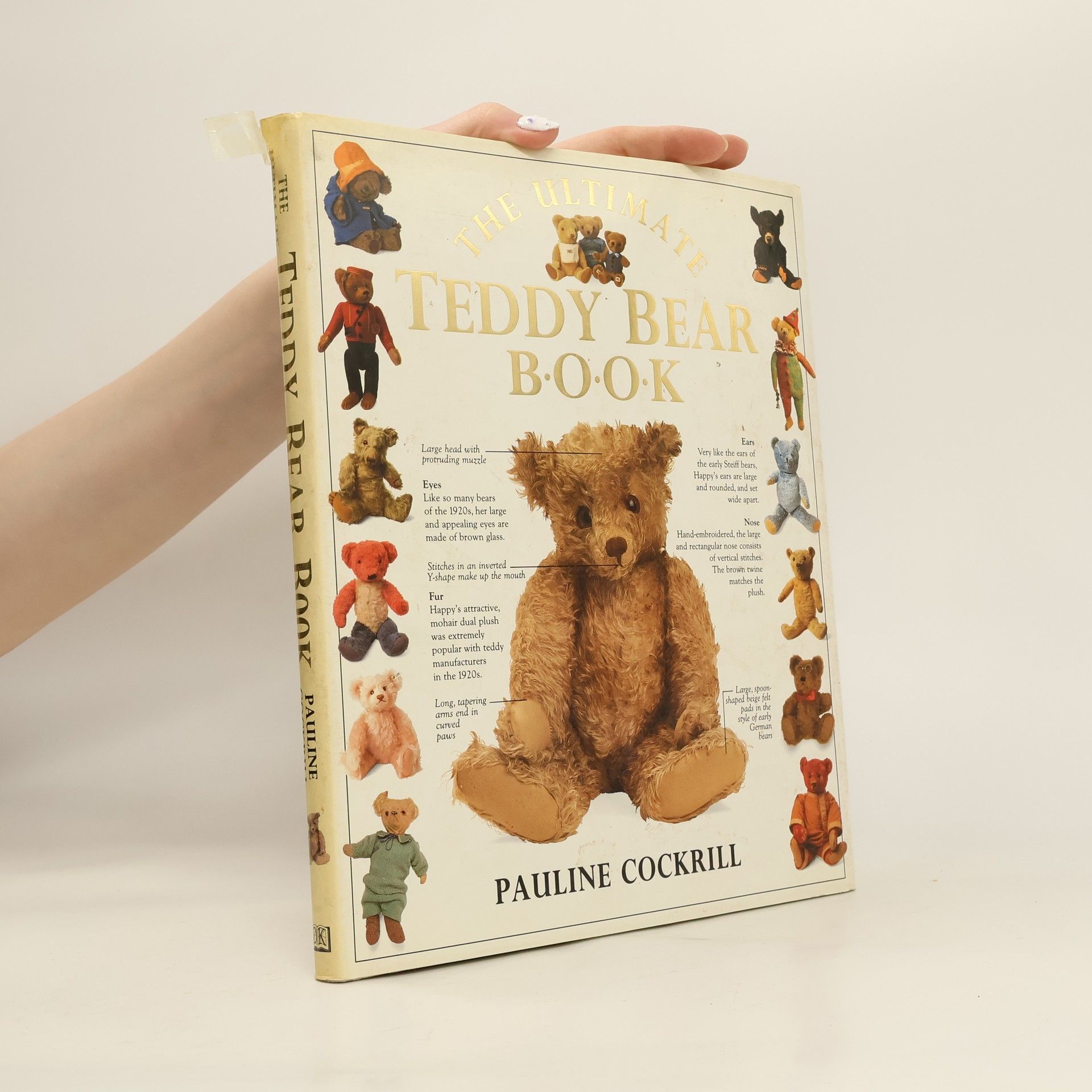 Pauline Cockrill The Ultimate Teddy Bear Book